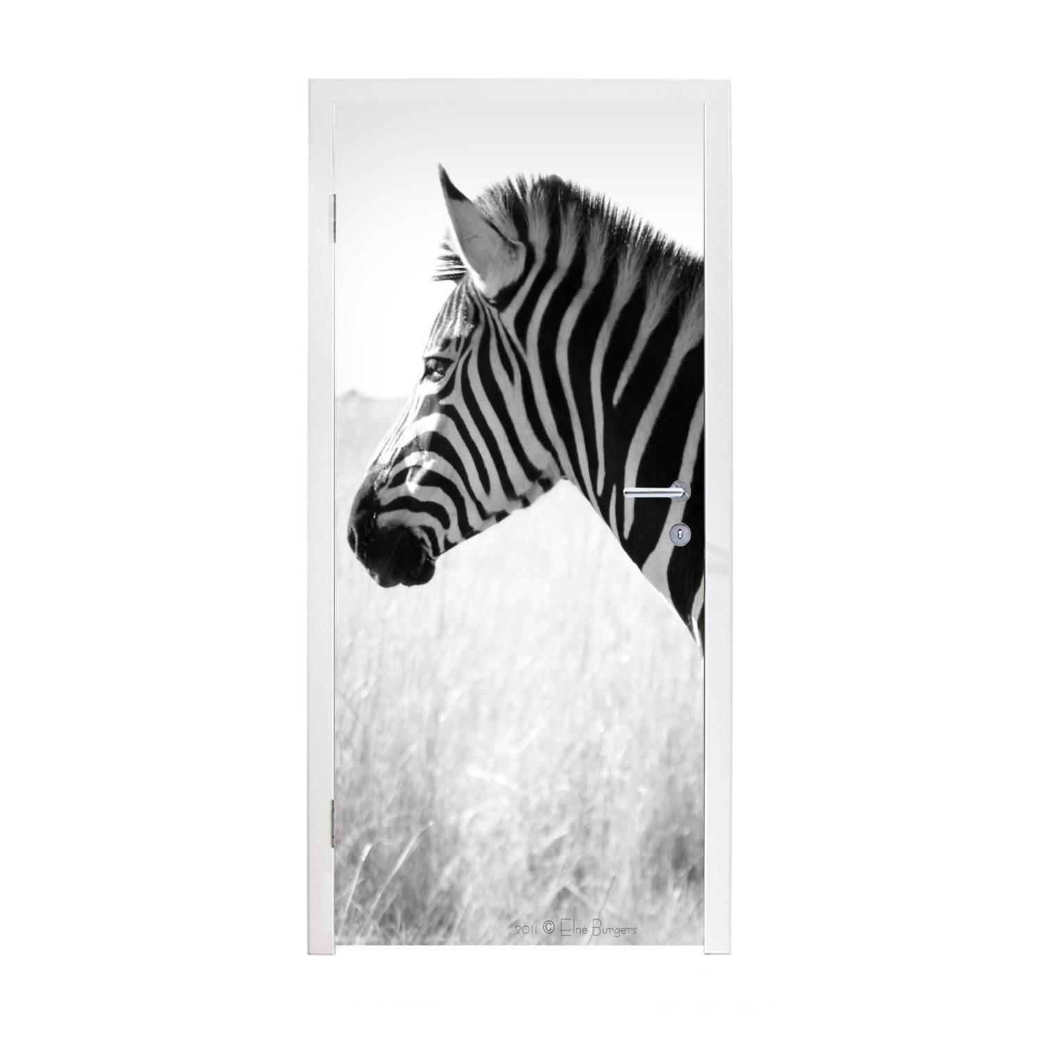 MuchoWow Türtapete Zebra im hohen Gras, Matt, bedruckt, (1 St), Fototapete für Tür, Türaufkleber, 75x205 cm