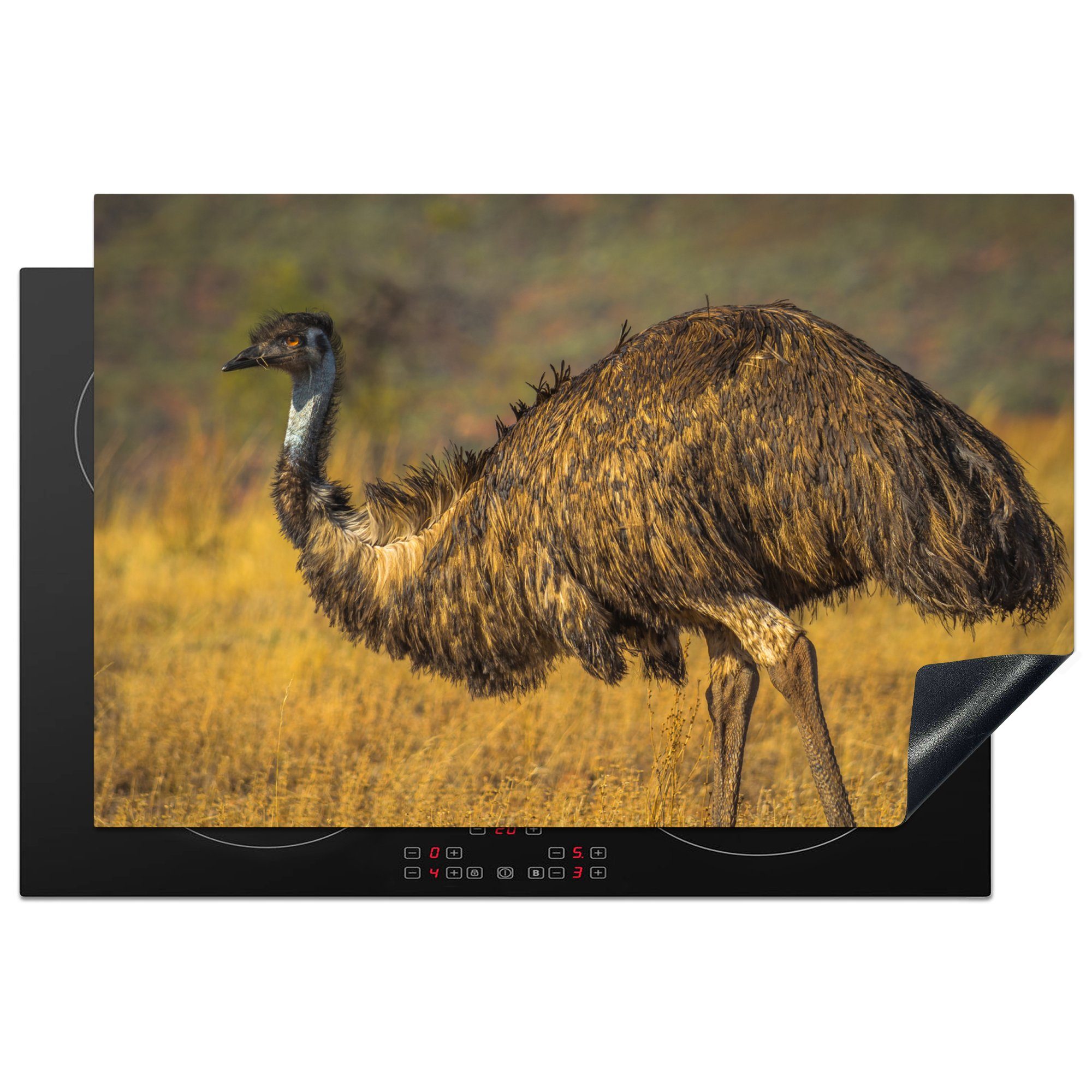 (1 Herdblende-/Abdeckplatte großer trockenen Emu Schutz Vinyl, einer Landschaft, in Ein 81x52 Ceranfeldabdeckung Induktionskochfeld für küche, tlg), die cm, MuchoWow