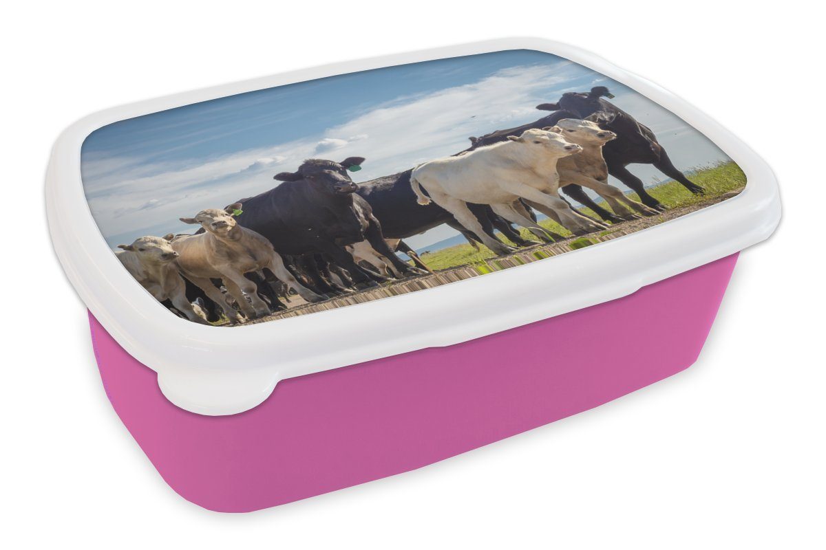 MuchoWow Lunchbox Tiere - Kuh - Luft, Kunststoff, (2-tlg), Brotbox für Erwachsene, Brotdose Kinder, Snackbox, Mädchen, Kunststoff rosa