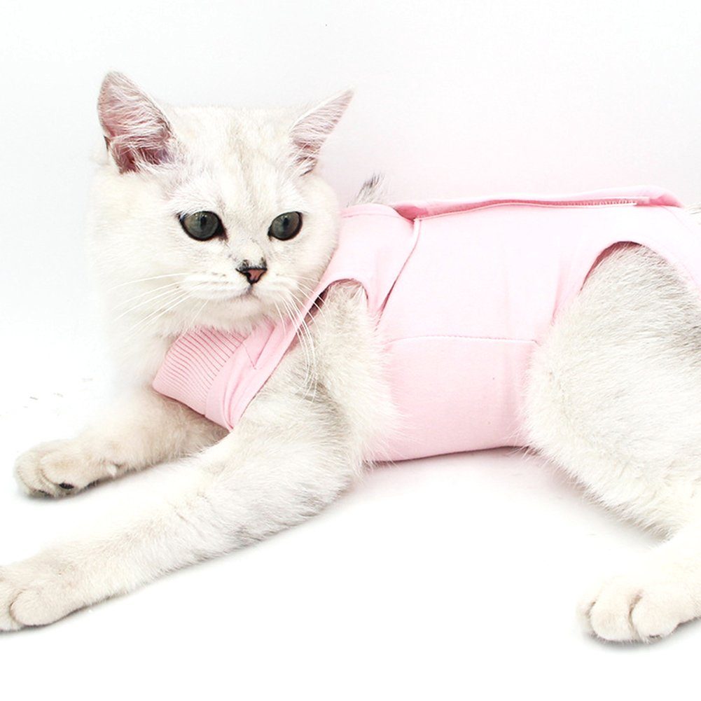 Katde Hundekleid Erholungsanzug Katzen Bauchwunden Hautkrankheiten, Haustierkleidung