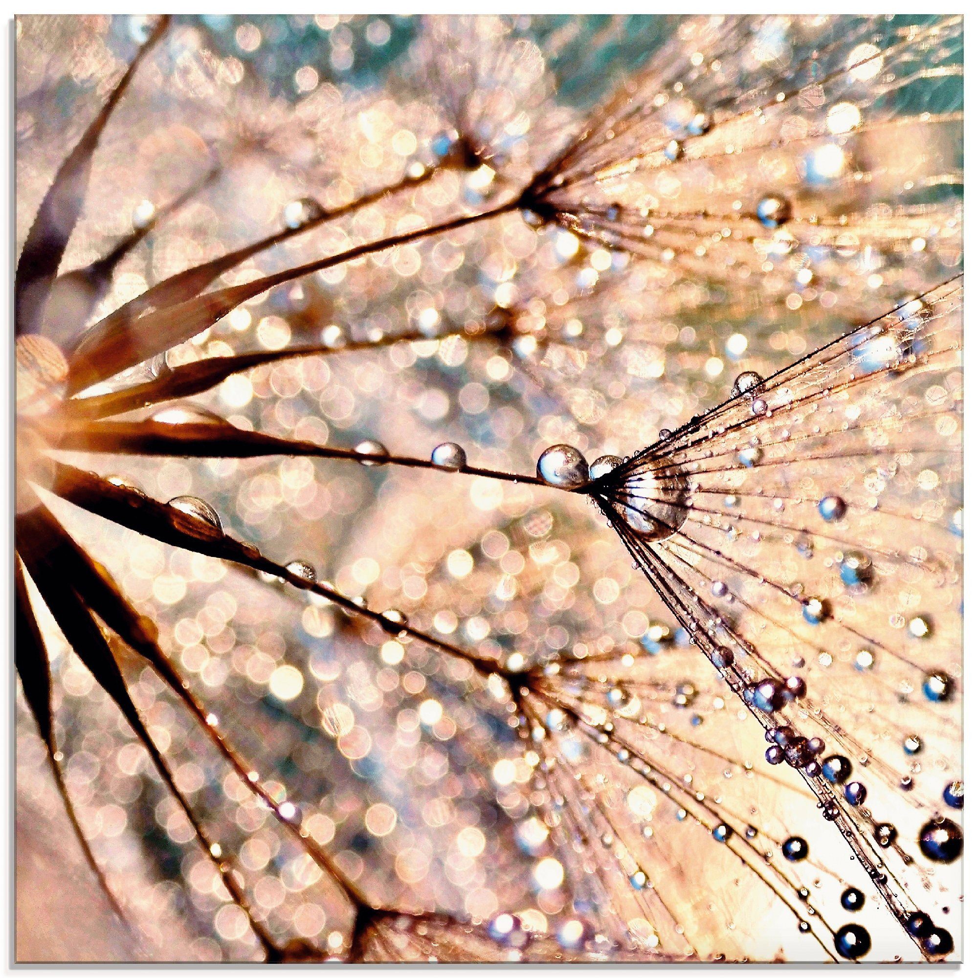 Artland Glasbild Pusteblume - Kisses from rain, Blumen (1 St), in verschiedenen Größen