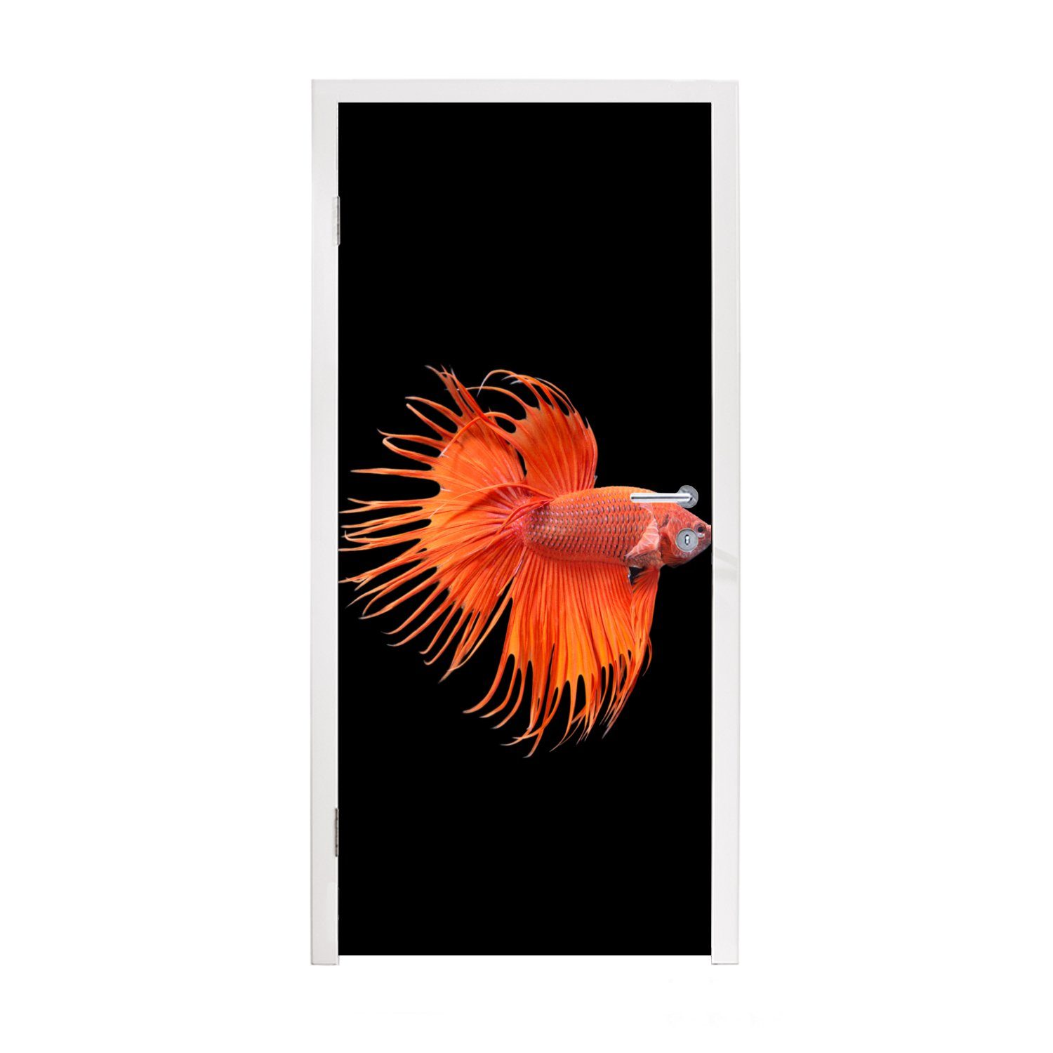 MuchoWow Türtapete Fische - Wilde Tiere - Schwarz, Matt, bedruckt, (1 St), Fototapete für Tür, Türaufkleber, 75x205 cm