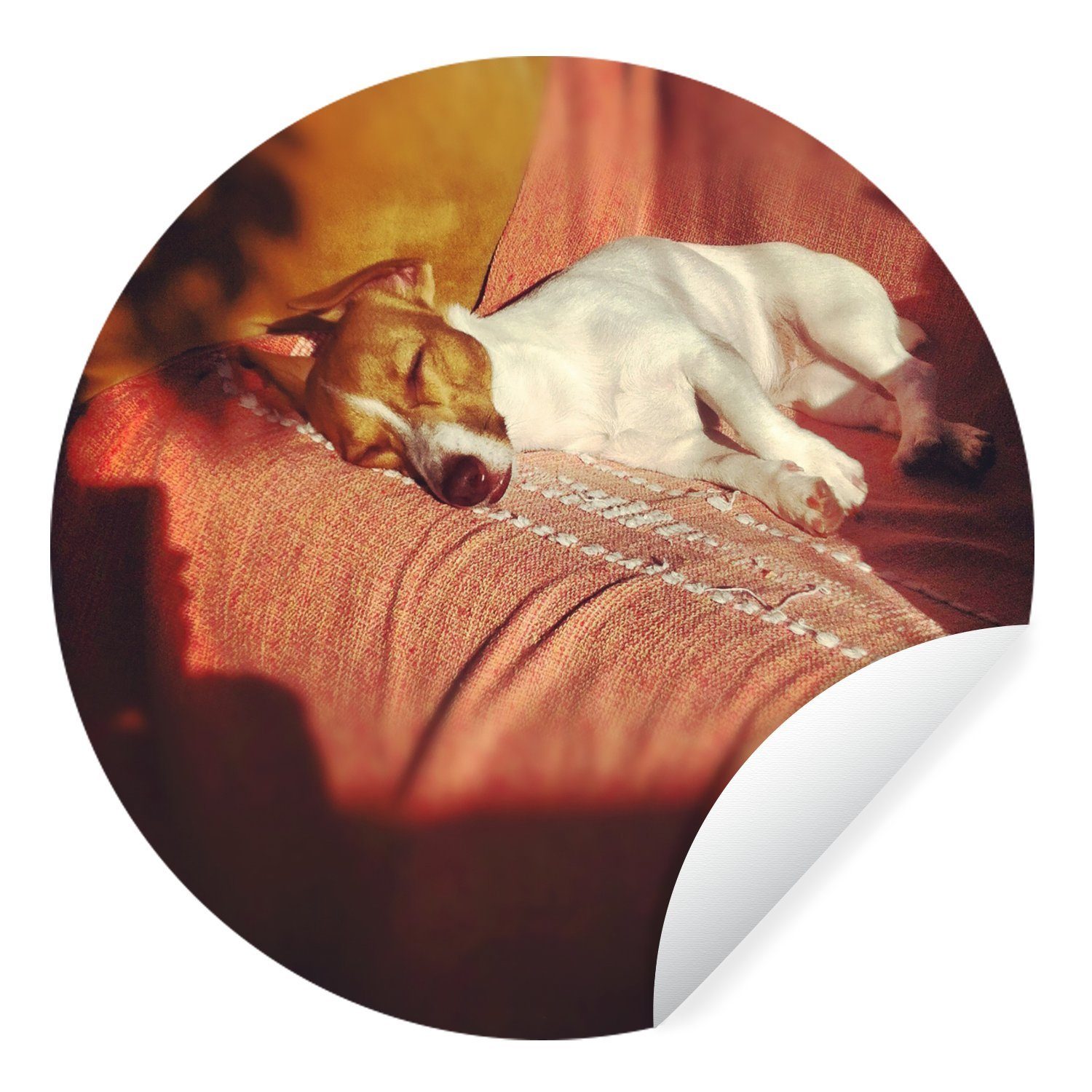 Rund, (1 Jack-Russel-Hund, St), Wohnzimmer amüsiert sich Tapetenkreis für Kinderzimmer, Tapetenaufkleber, der Wandsticker MuchoWow