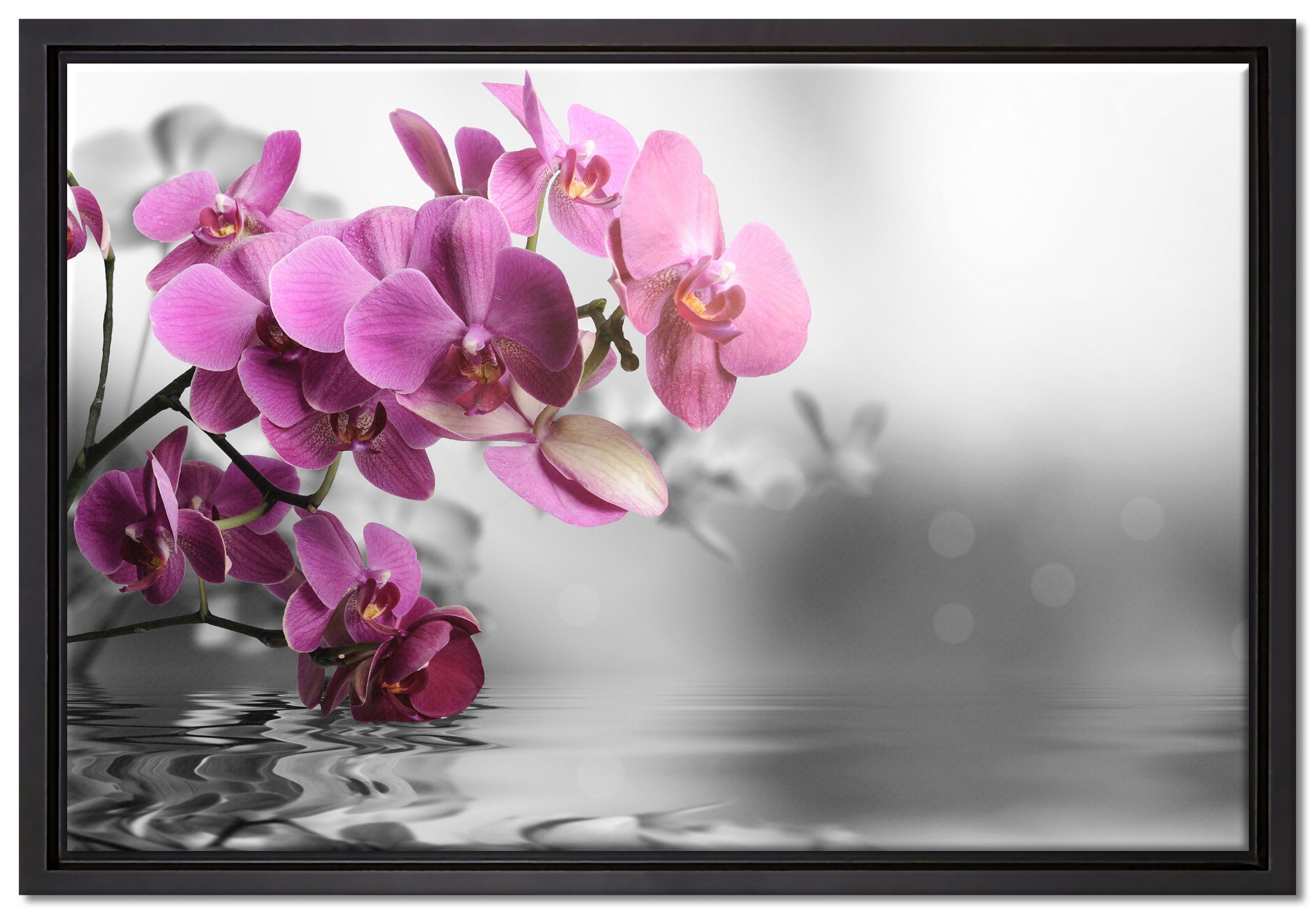 Pixxprint Leinwandbild Orchideenblüten über bespannt, inkl. Zackenaufhänger in Schattenfugen-Bilderrahmen Wanddekoration Leinwandbild einem Wasser, St), fertig gefasst, (1