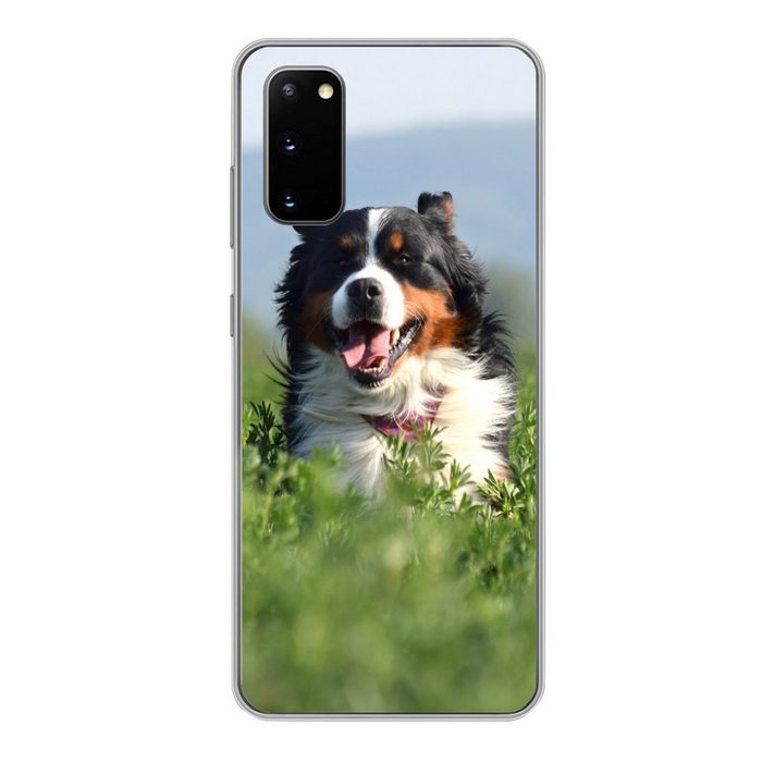 MuchoWow Handyhülle Ein Berner Sennenhund im hohen Gras Phone Case Handyhülle Samsung Galaxy S20 Silikon Schutzhülle