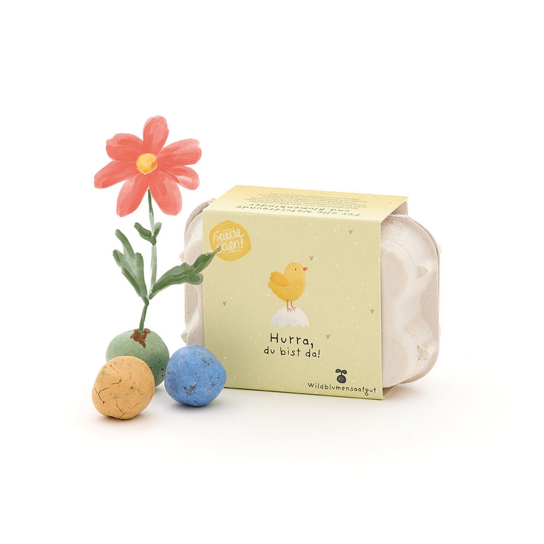 Blumensamen 6 Saatkugel mit Wildblumen-Saatgut im Mini-Eierkarton, Geburtgeschenk