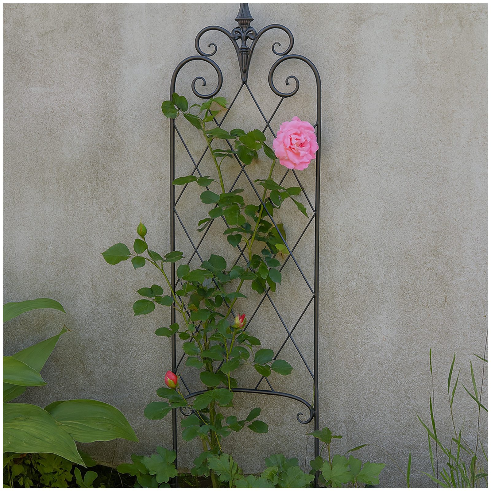 HTI-Living Rankgitter Dekorative Rankhilfe aus Metall Stück, 1 St., 1 Rankg günstig online kaufen