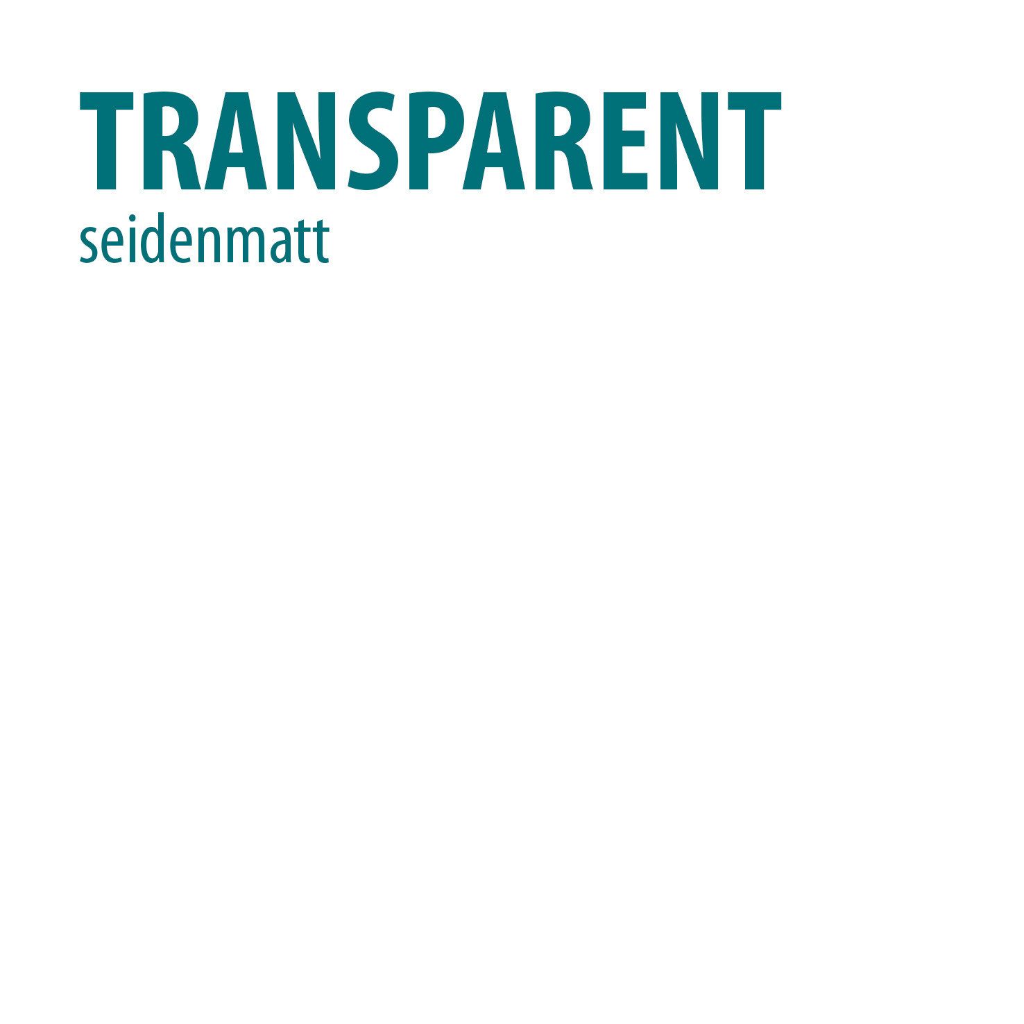 Baufix Tapetenschutz & Wandschutz transparent seidenmatt, 2,5 Liter für ca. 12m², Wasserbasierter Schutzanstrich, abriebfest, wasch- & scheuerbeständig