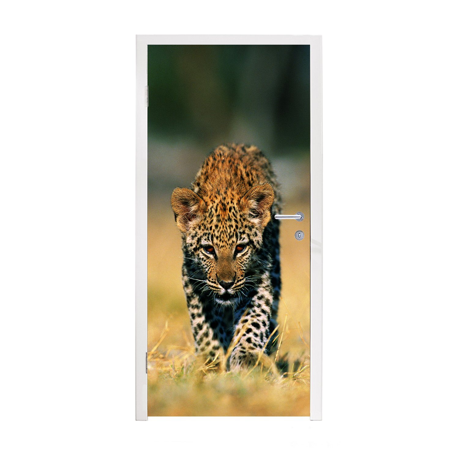 Matt, für cm 75x205 St), Fototapete Türaufkleber, - MuchoWow Gras, - (1 bedruckt, Leopard Makro Tür, Türtapete
