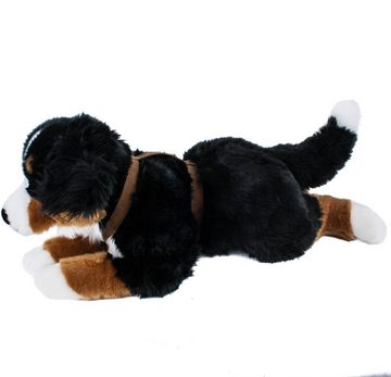 Teddys Rothenburg Kuscheltier Plüschhund Berner Sennenhund mit Geschirr 60 cm Uni-Toys