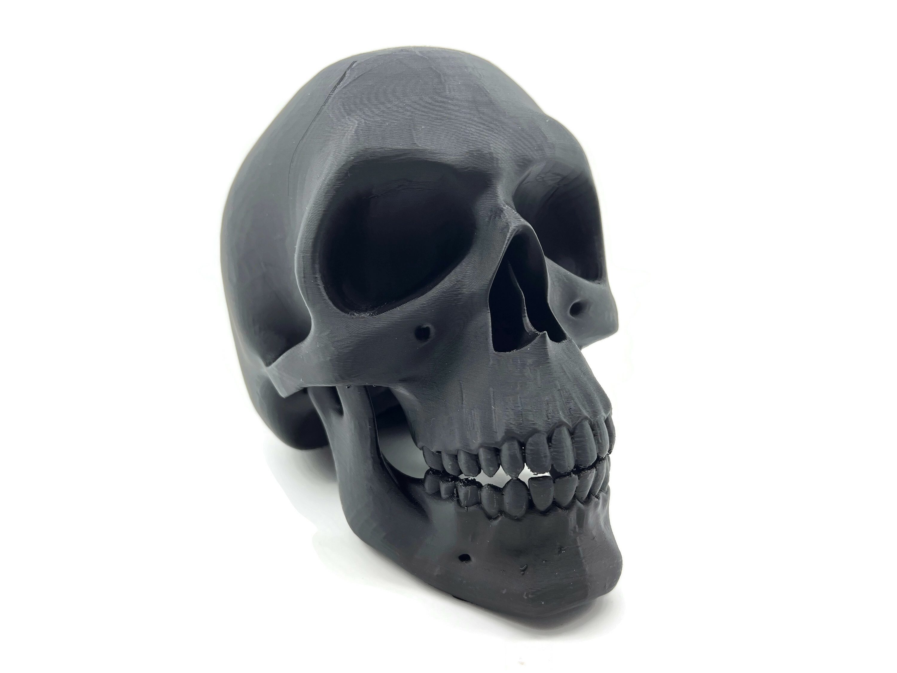 eXODA Skulptur Totenkopf Skulptur Schädel Skulptur als Dekoration oder Lehrmittel