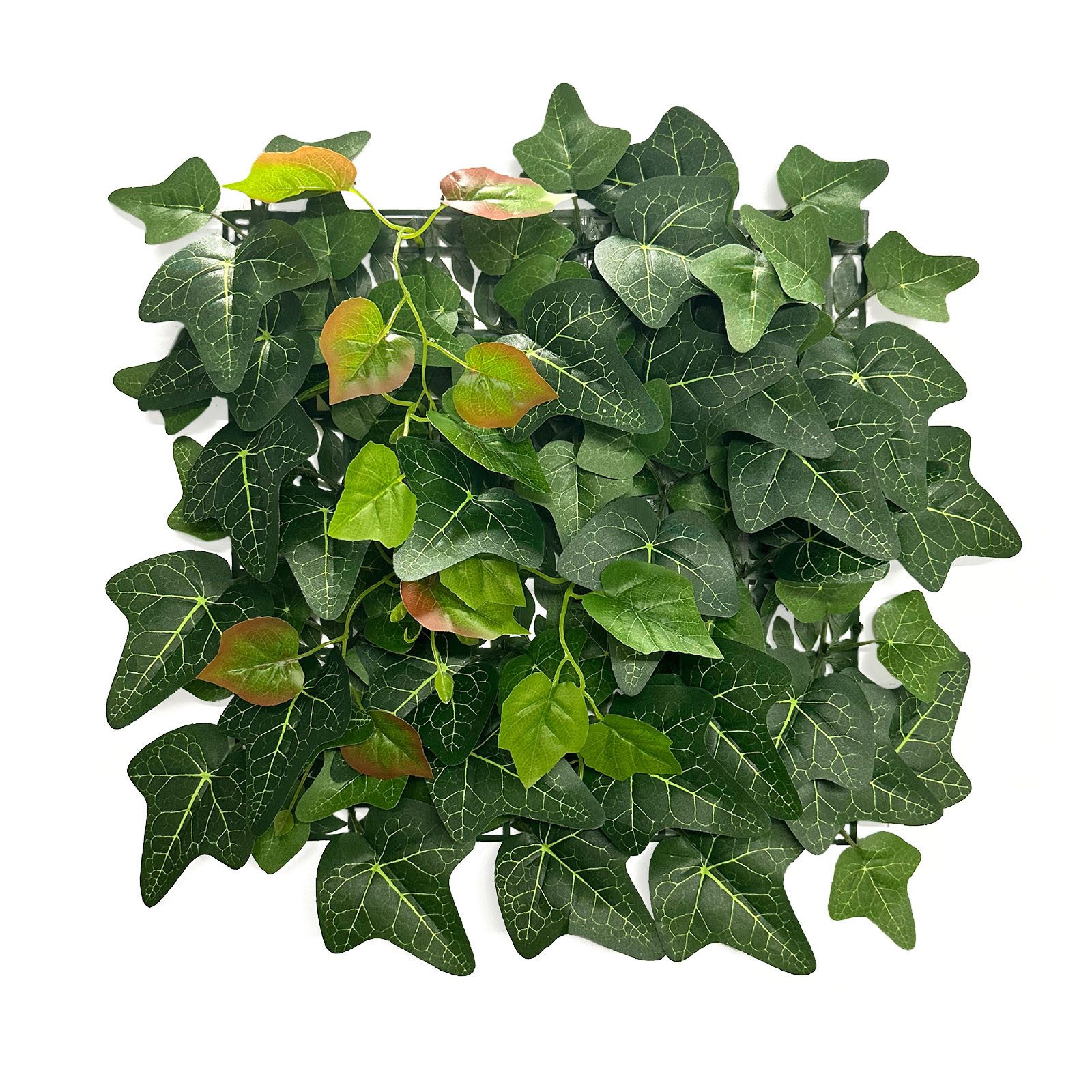 Kunstpflanze Pflanzenwand Ivy, Efeu-Blätter in verschiedenen günstig online kaufen