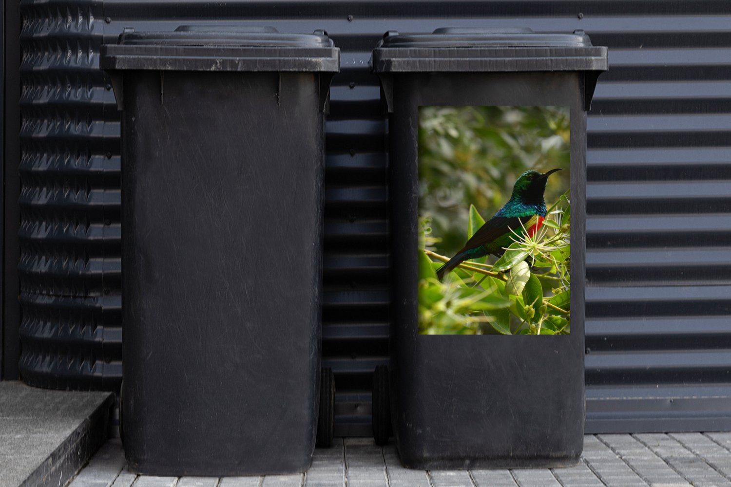 MuchoWow Wandsticker Vogel zwischen den Blättern St), (1 Abfalbehälter Mülltonne, Mülleimer-aufkleber, im Container, Dschungel Sticker