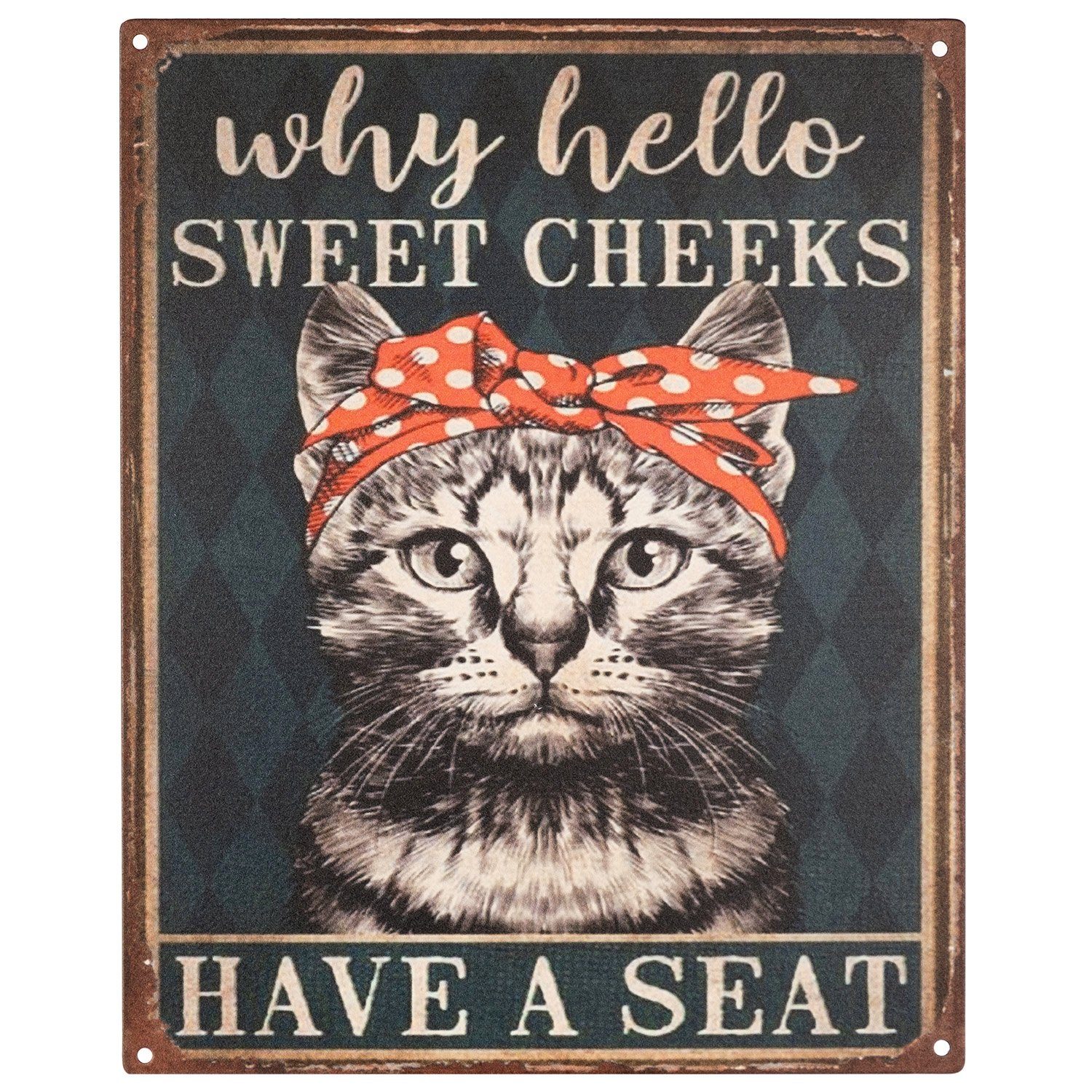 Metallschild Blechschild Why Hello Sweet Cheeks Have a Seat