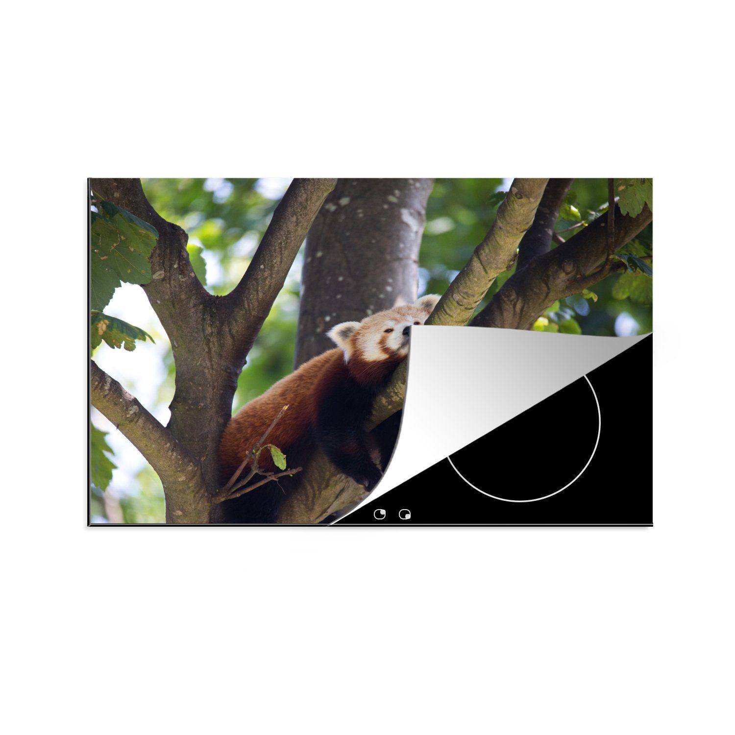MuchoWow Herdblende-/Abdeckplatte Roter Panda auf dem Baum, Vinyl, (1 tlg), 81x52 cm, Induktionskochfeld Schutz für die küche, Ceranfeldabdeckung
