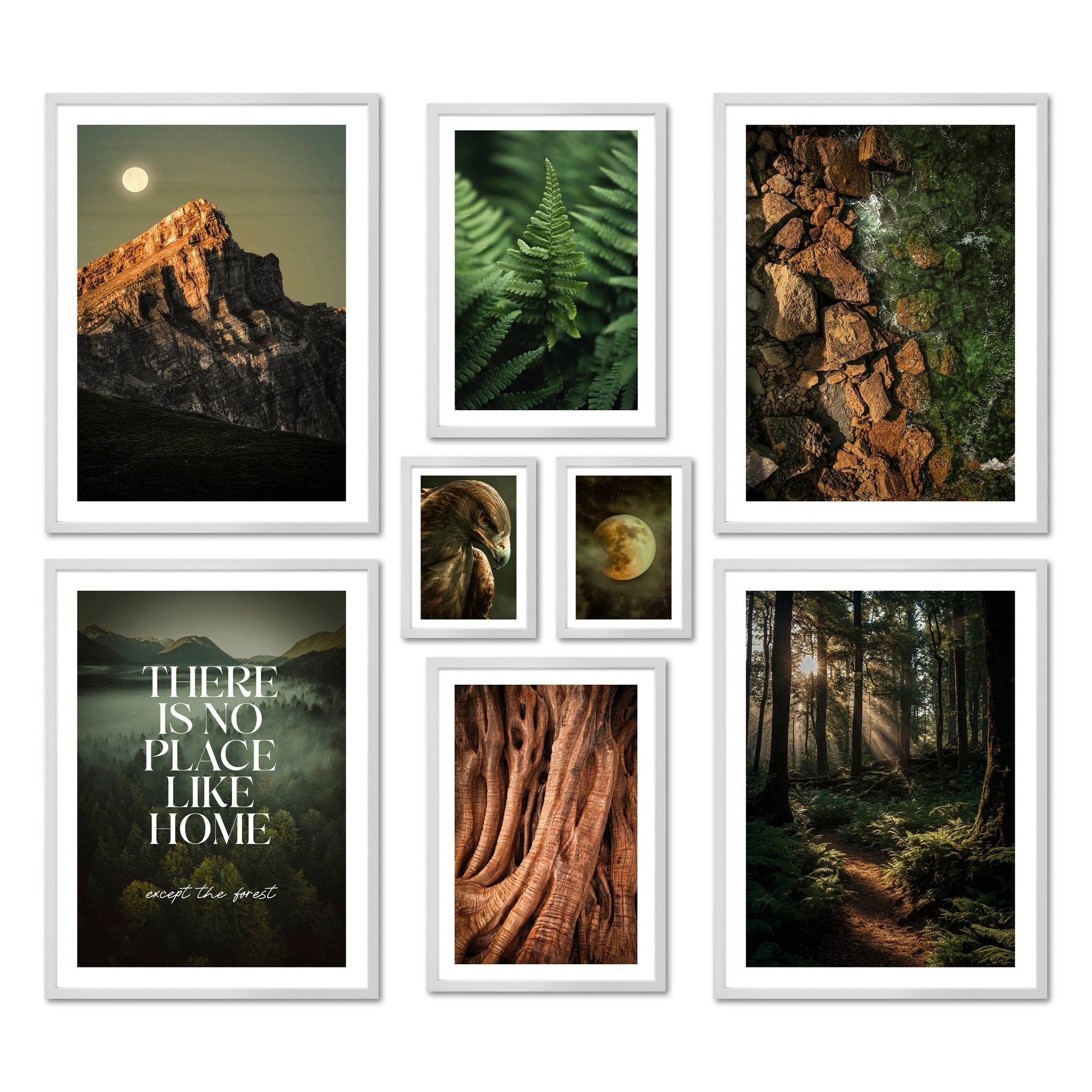 Bilder-Collage Poster Set - Wild Forest - Deko Wandbilder wald, natur, grün, grün-bra