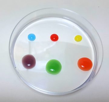 myExperimentSet Experimentierkasten für eine Forscherecke im Kindergarten, (6 Forscher-Stationen-tlg., Forschen, Entdecken und Wissen erleben), inkl. laminierten Erklärtafeln mit Bilder und Zeichnungen