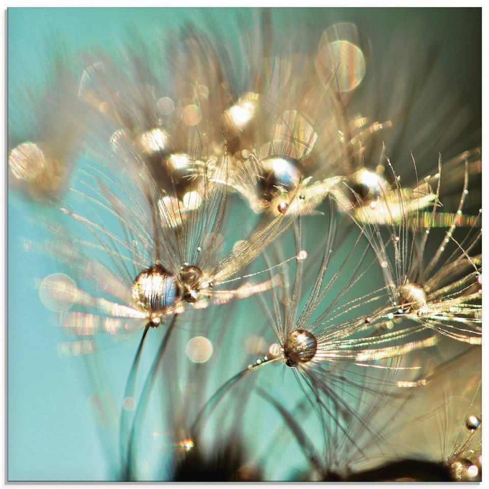 Artland Glasbild Pusteblume glänzendes Gold, Blumen (1 St), in verschiedenen  Größen