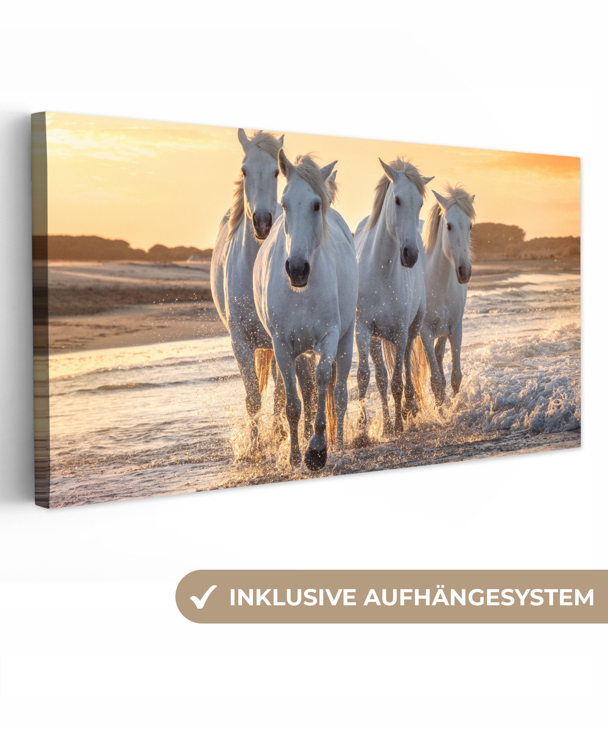 OneMillionCanvasses® Leinwandbild Panorama Pferde - Wasser günstig online kaufen