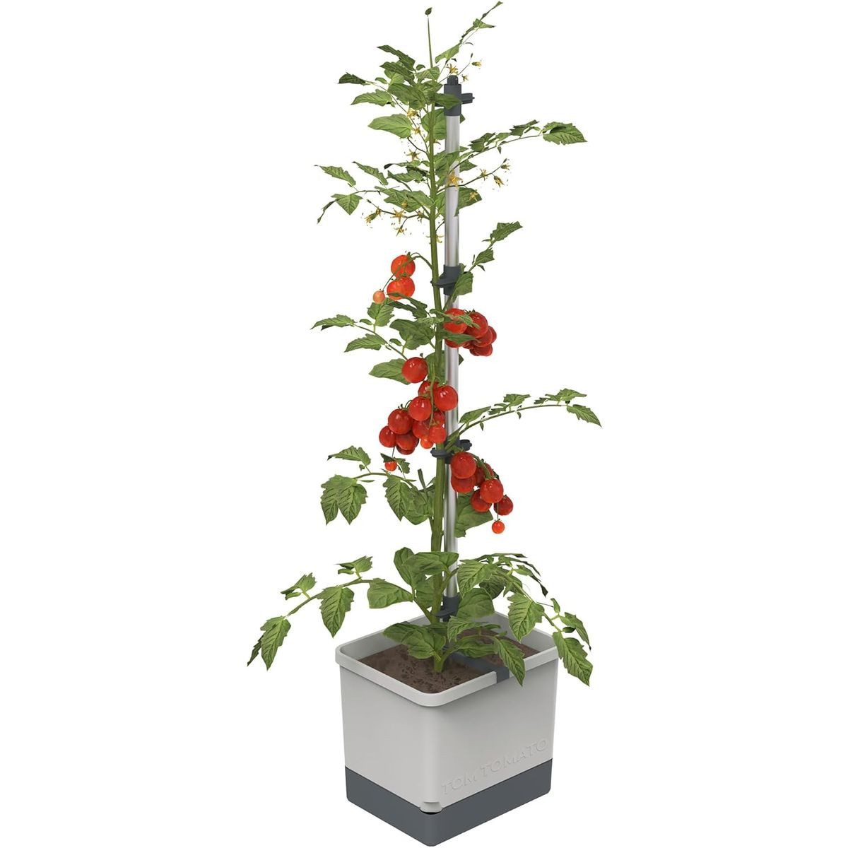 Gusta Garden Pflanzkübel TOM TOMATO (inkl. stabiler Rankhilfe und Bewässerungssystem), Tomatentopf für Balkon, Terrasse & Garten, hellgrau