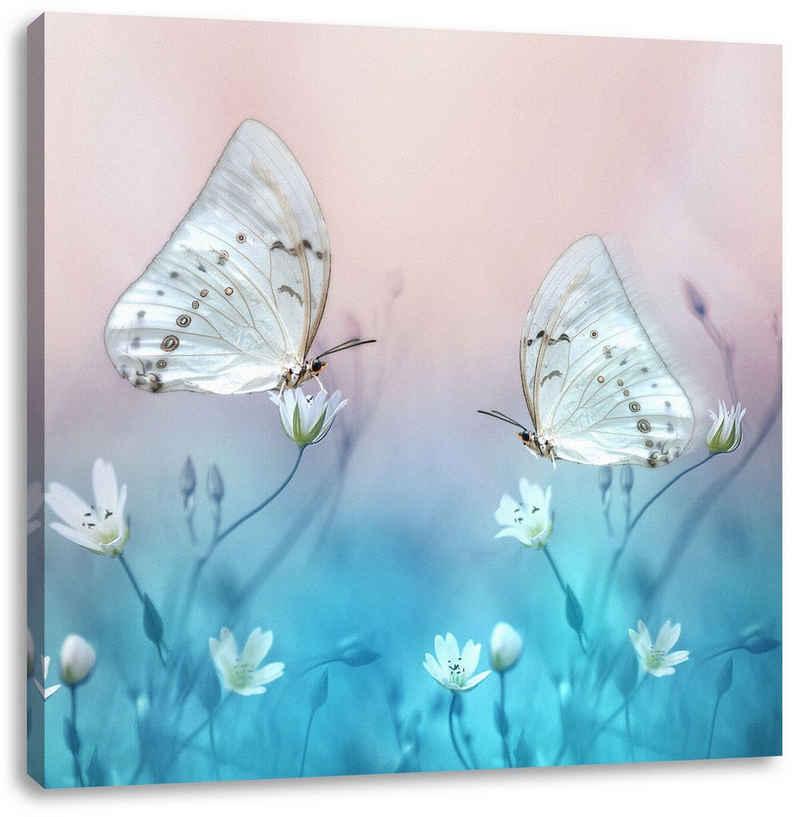 Pixxprint Leinwandbild Schmetterling auf kleinen Blumen, Schmetterling auf kleinen Blumen (1 St), Leinwandbild fertig bespannt, inkl. Zackenaufhänger
