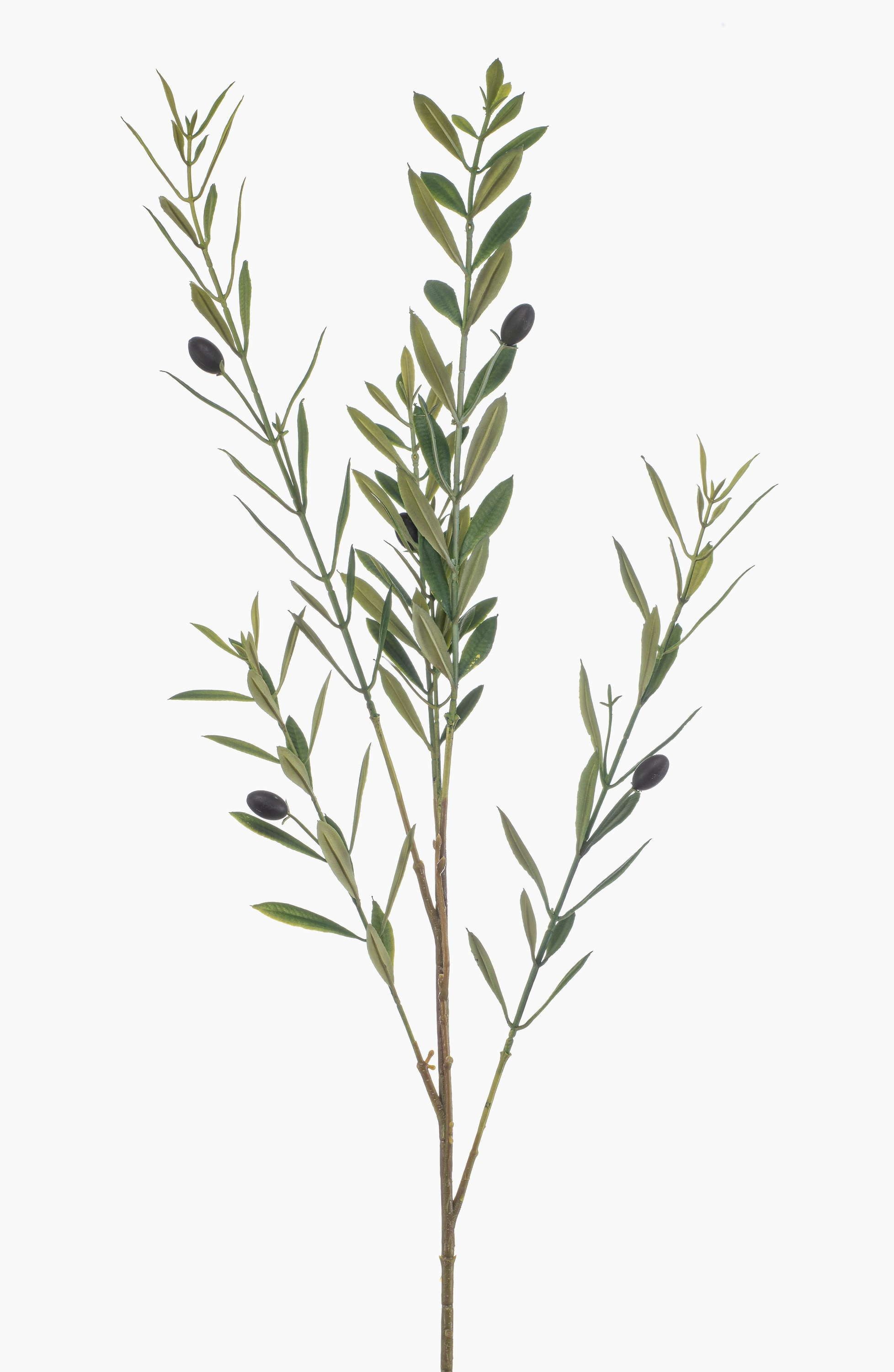 Kunstzweig Deko Zweig Olive BAKSON mit Früchten, crossdoor, 90cm Olivenbaum, artplants, Höhe 90.0 cm