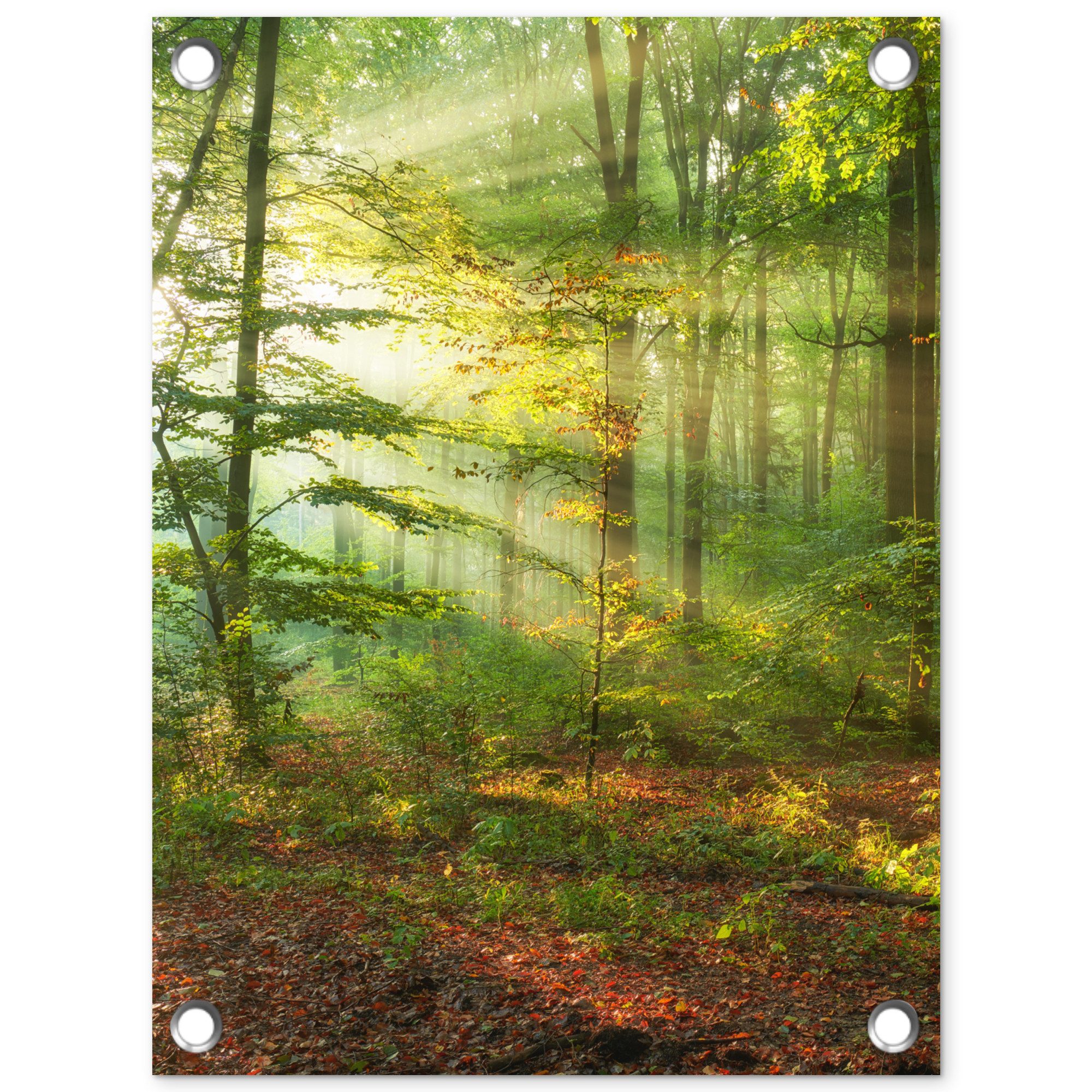 OnlyWow Poster für Garten Sonne - Wald - Bäume - Natur - Herbst, Gartenposter, Outdoor Bilder, Gartendeko für draußen, 30x40 cm
