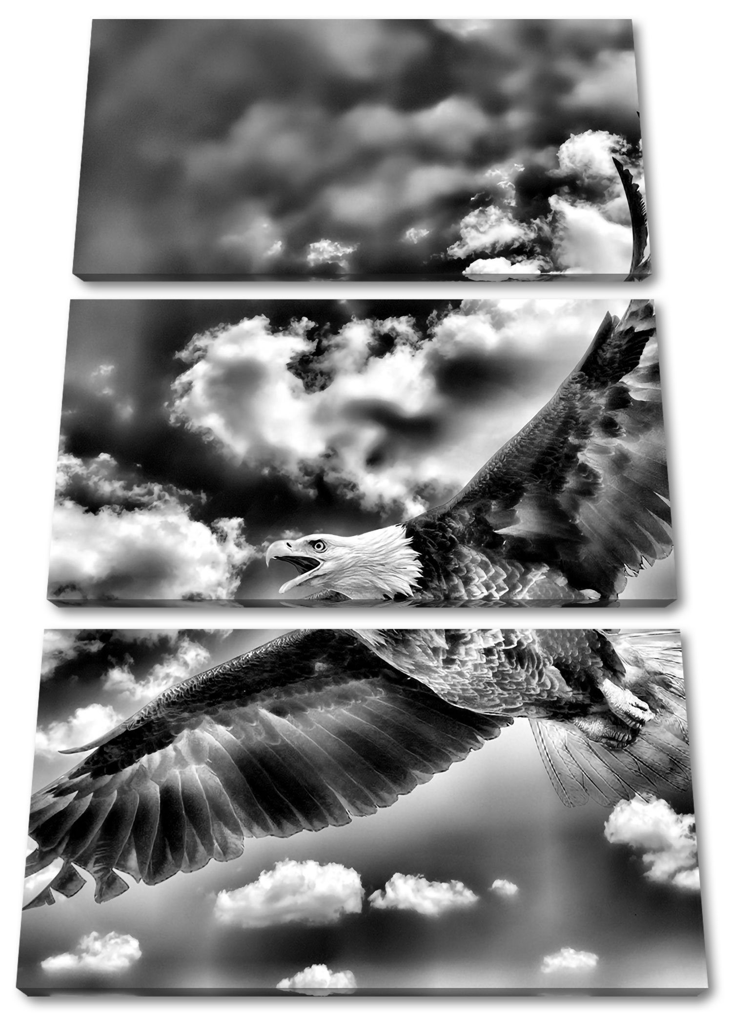 Pixxprint Leinwandbild Adler fliegt über Berge, Adler fliegt über Berge 3Teiler (120x80cm) (1 St), Leinwandbild fertig bespannt, inkl. Zackenaufhänger