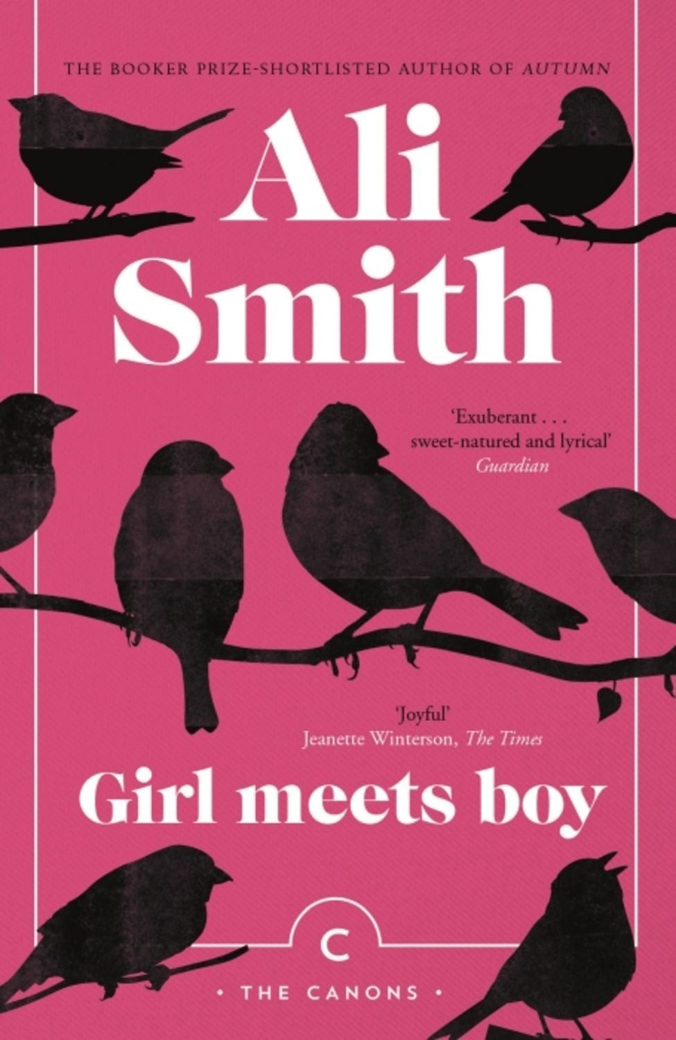 Girl Meets Boy / Ali Smith