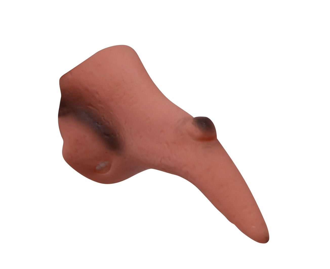 Fiestas Guirca Hexen-Kostüm Nase Hexennase