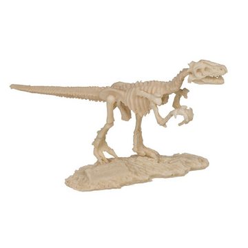 ReWu Spielschiene Ausgrabungsset, Dinosaurier Skelett, ca. 4,5 x 18 cm, 8-fach sortiert