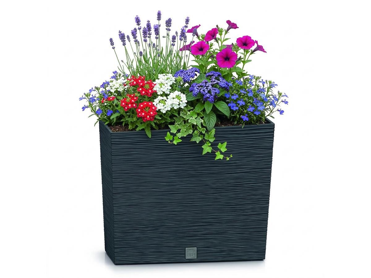 Prosperplast Blumentopf Furu DFC600T (mit Einsatz, 58 x 18 x 49,8 cm), wetterfestem Kunststoff