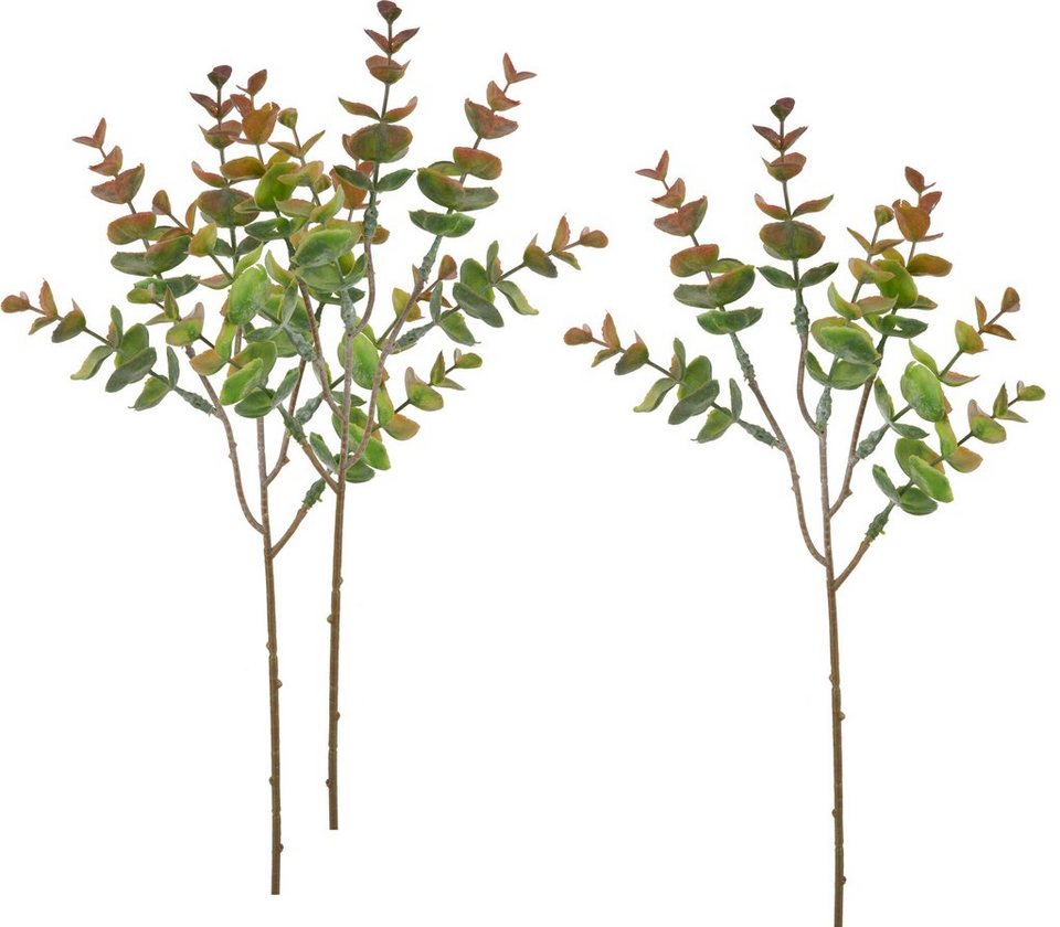 Kunstpflanze Eukalyptus Bendigo, VBS, 3 Stück, 40 cm