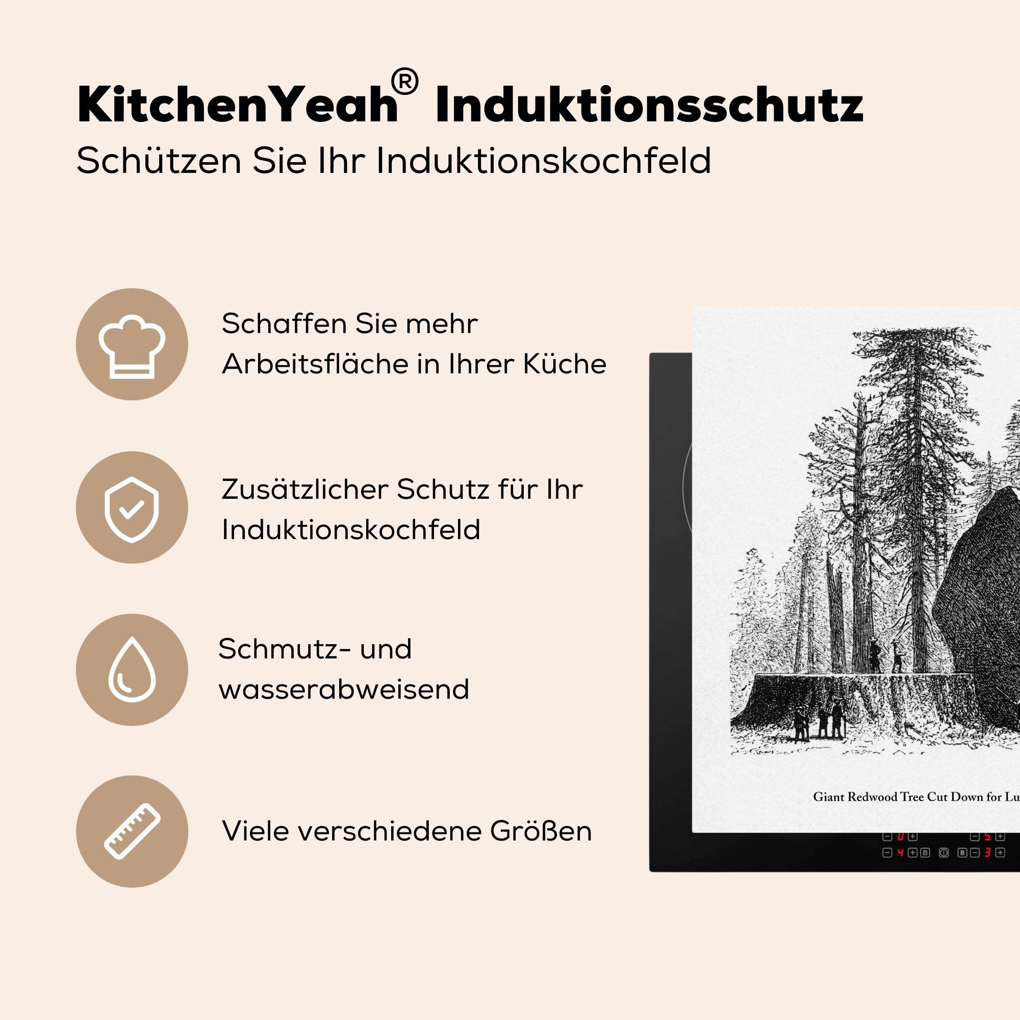 Vinyl, Arbeitsfläche MuchoWow nutzbar, tlg), gefällten Mobile Herdblende-/Abdeckplatte 60x52 eines Ceranfeldabdeckung Mammutbaums, cm, Illustration (1