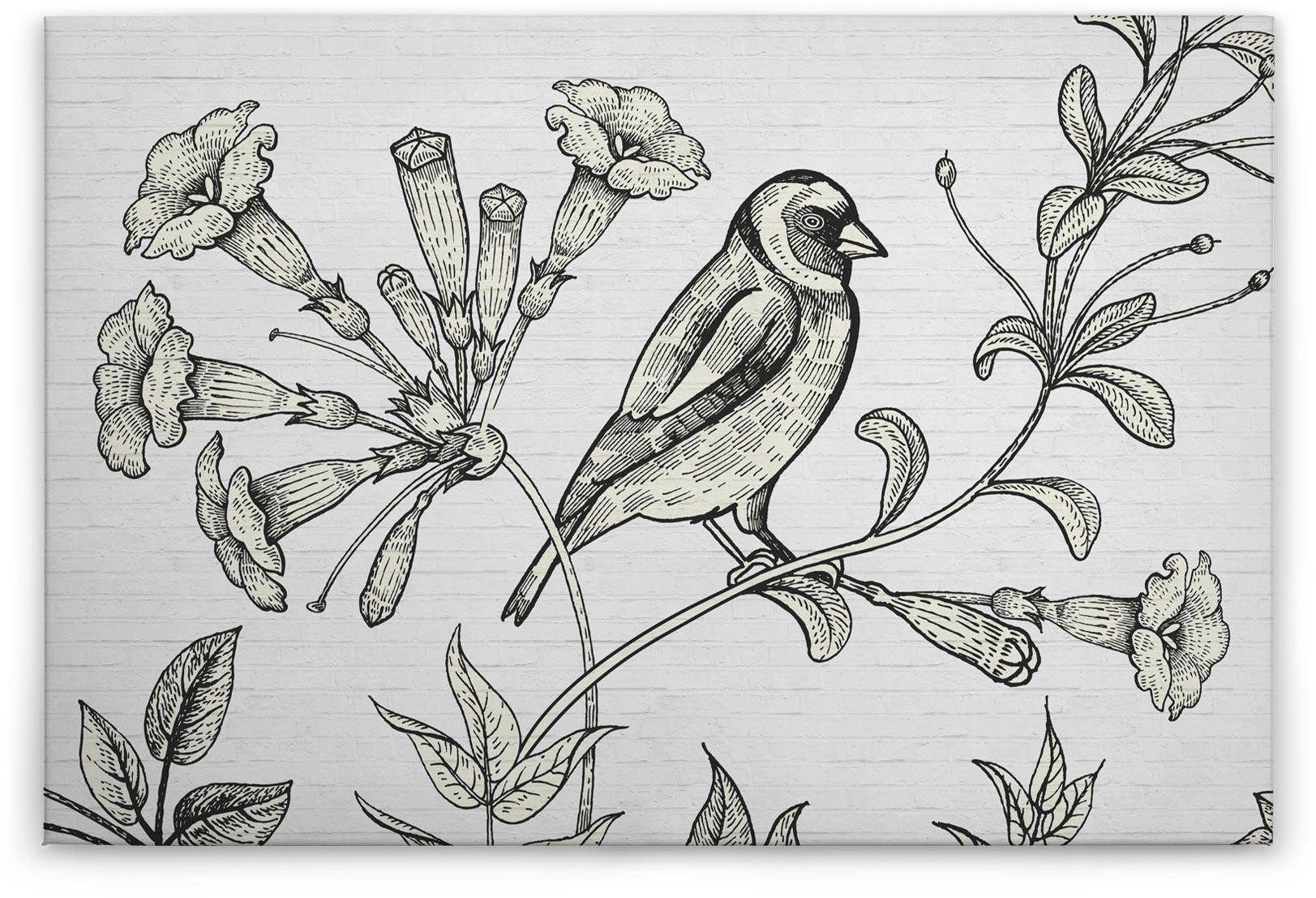 weiß St), schwarz, Bild (1 A.S. Floral Keilrahmen Schwarz-Weiß birdy, Création Zeichnung Leinwandbild
