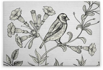 A.S. Création Leinwandbild birdy, (1 St), Schwarz-Weiß Zeichnung Floral Keilrahmen Bild