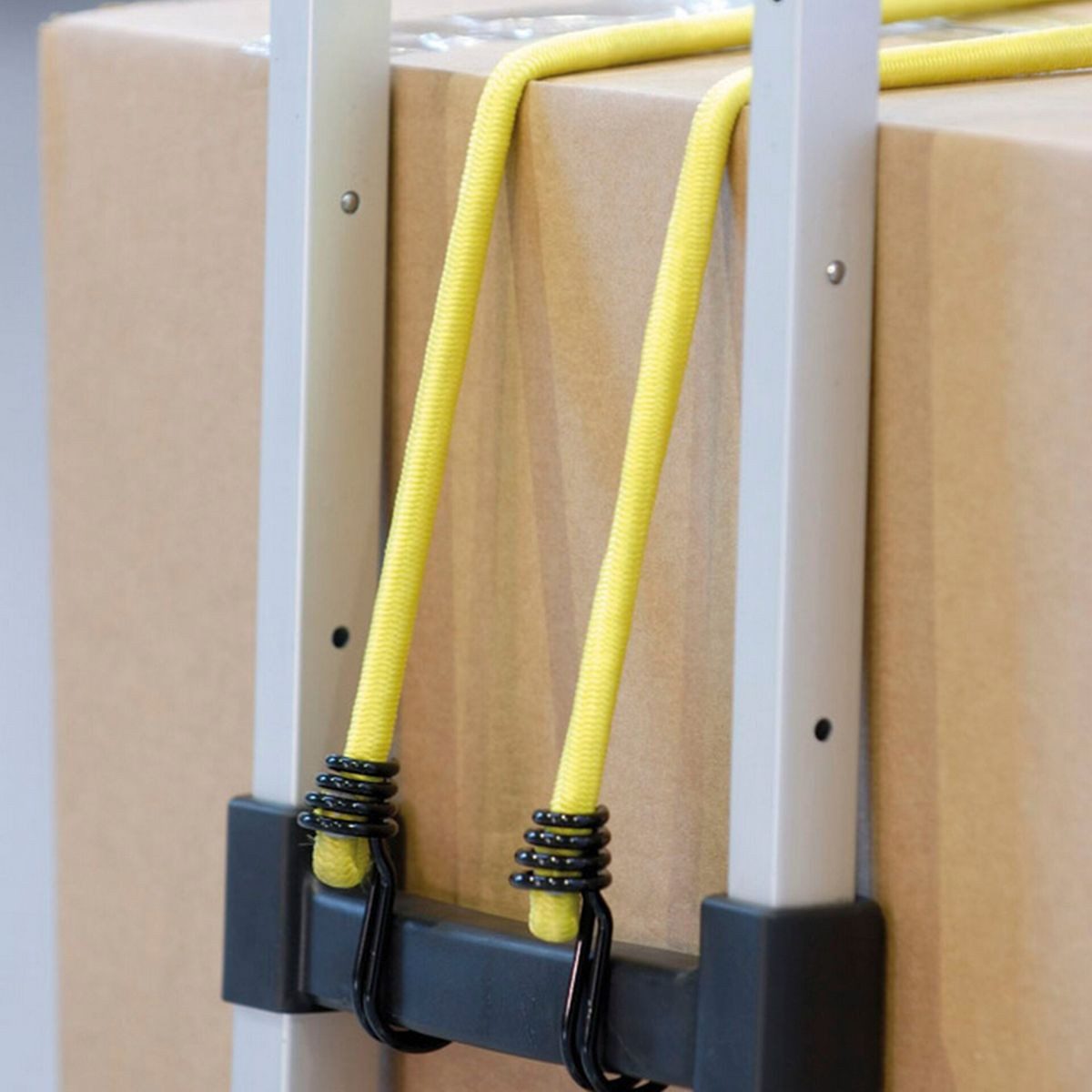 Master Lock 10x1 Gummispannseil Plastikgestell 3043EURDAT Diebstahlalarm