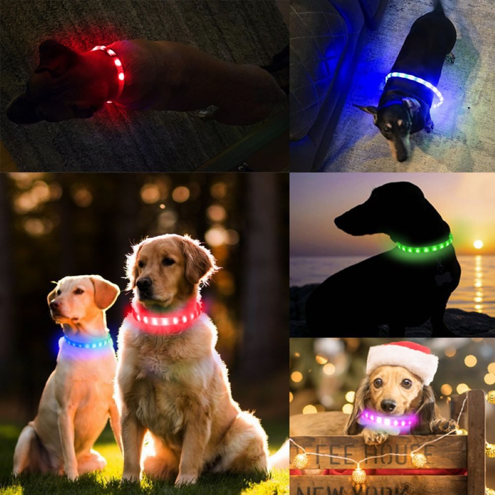 Illes-Laedchen Hunde-Halsband Hunde-Halsband LED Leuchtring Leuchthalsband große Farbauswahl, wiederaufladbar mit mitgeliefertem Kabel Typ C