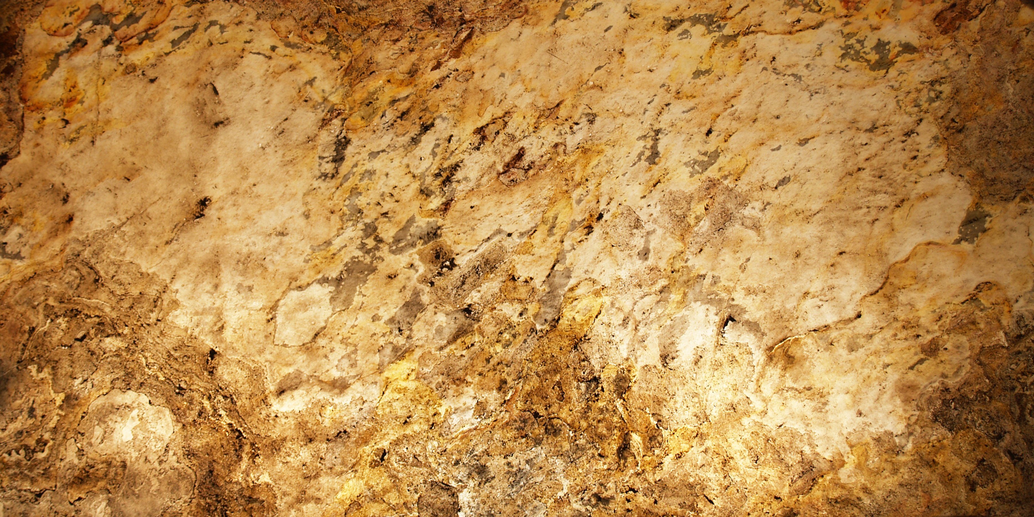Slate Lite Dekorpaneele Translucent Falling Leaves, BxL: 61x122 cm, 0,74 qm, (1-tlg) aus Naturstein