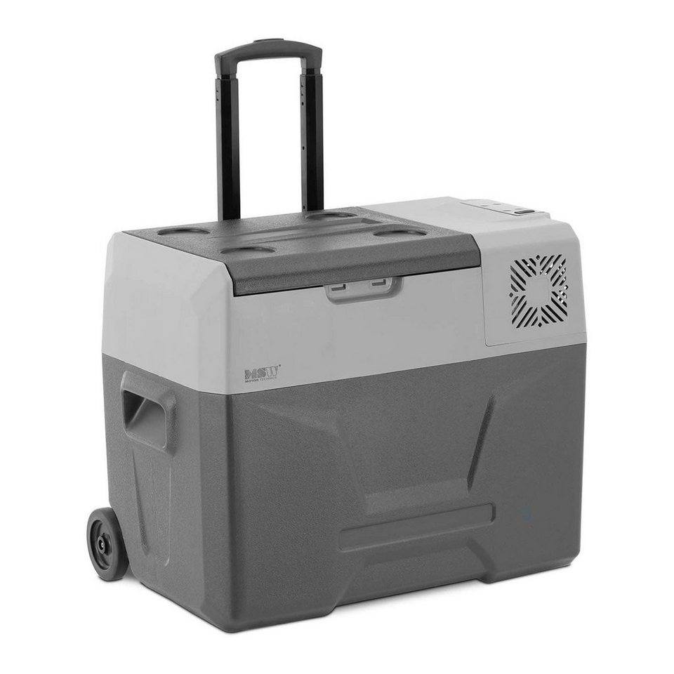 MSW Elektrische Kühlbox Auto-Kühlschrank /gefrierschrank - 12/24V (DC)/100  - 240V (AC) - 40L