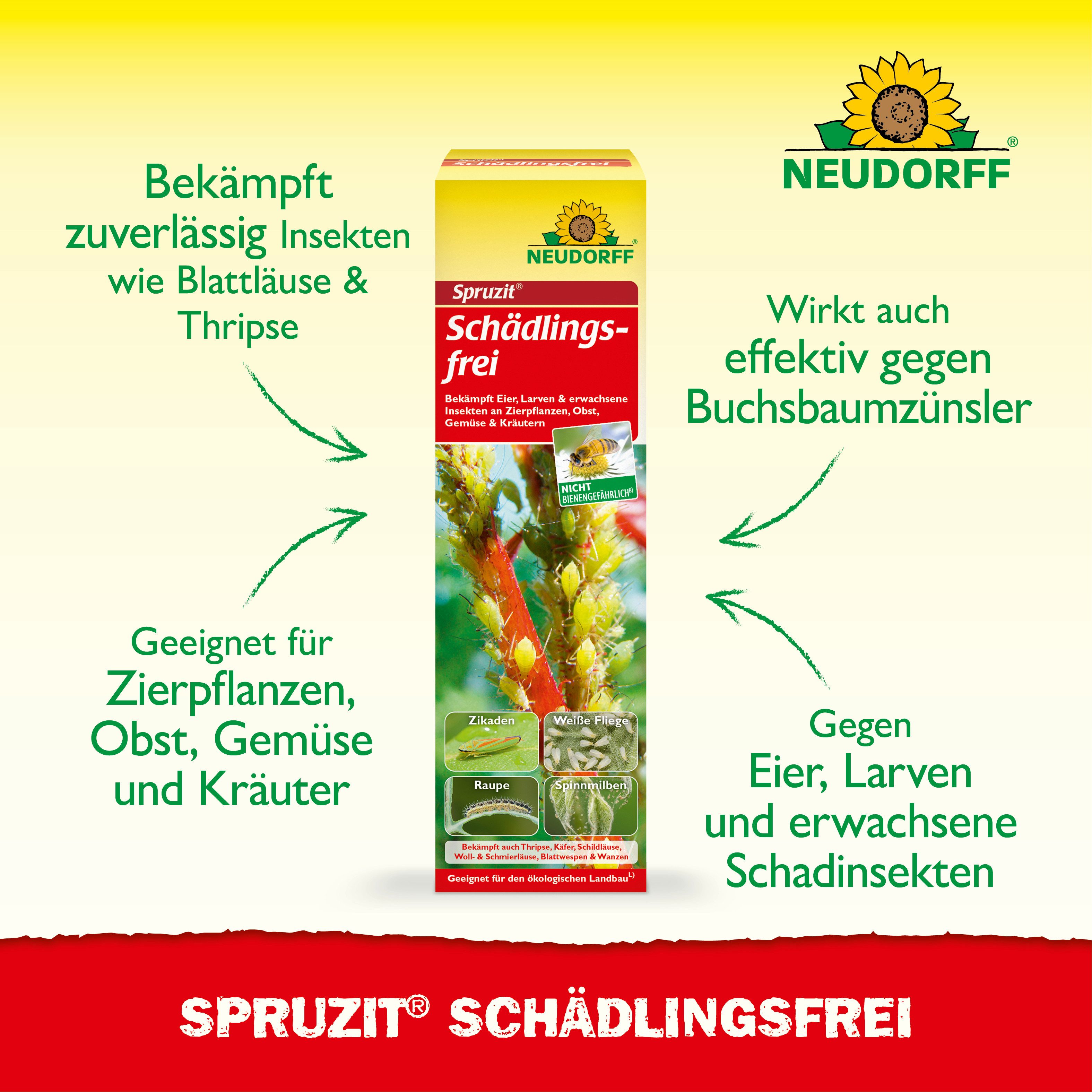 Neudorff Insektenspray Spruzit Schädlingsfrei 100 ml Konzentrat, 100 ml, Für Zierpflanzen, Obst & Gemüse in Haus und Garten, Konzentrat gegen zahlreiche Schädli – Bild 2 von 5