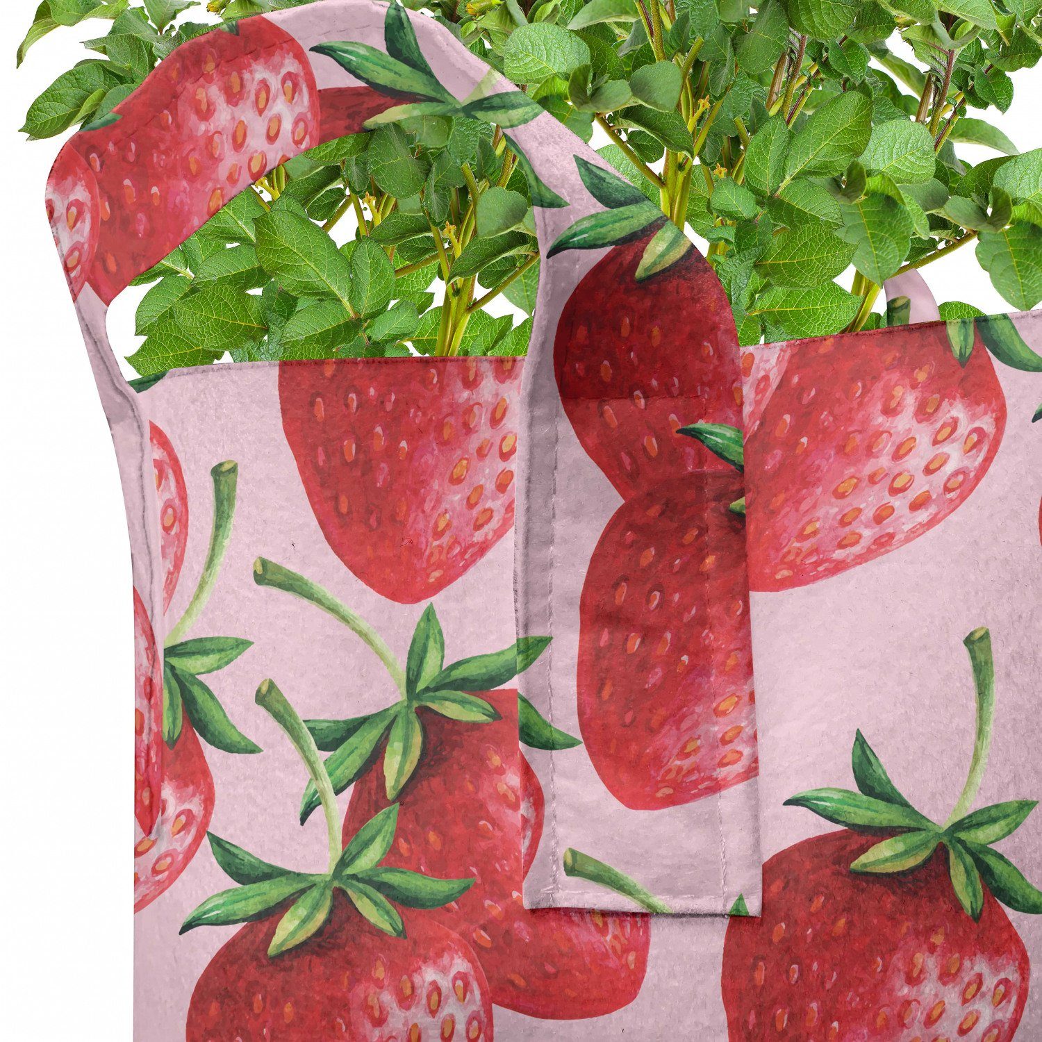 Abakuhaus Pflanzkübel hochleistungsfähig Obst rot mit Saftige Pflanzen, Griffen für Erdbeeren Stofftöpfe