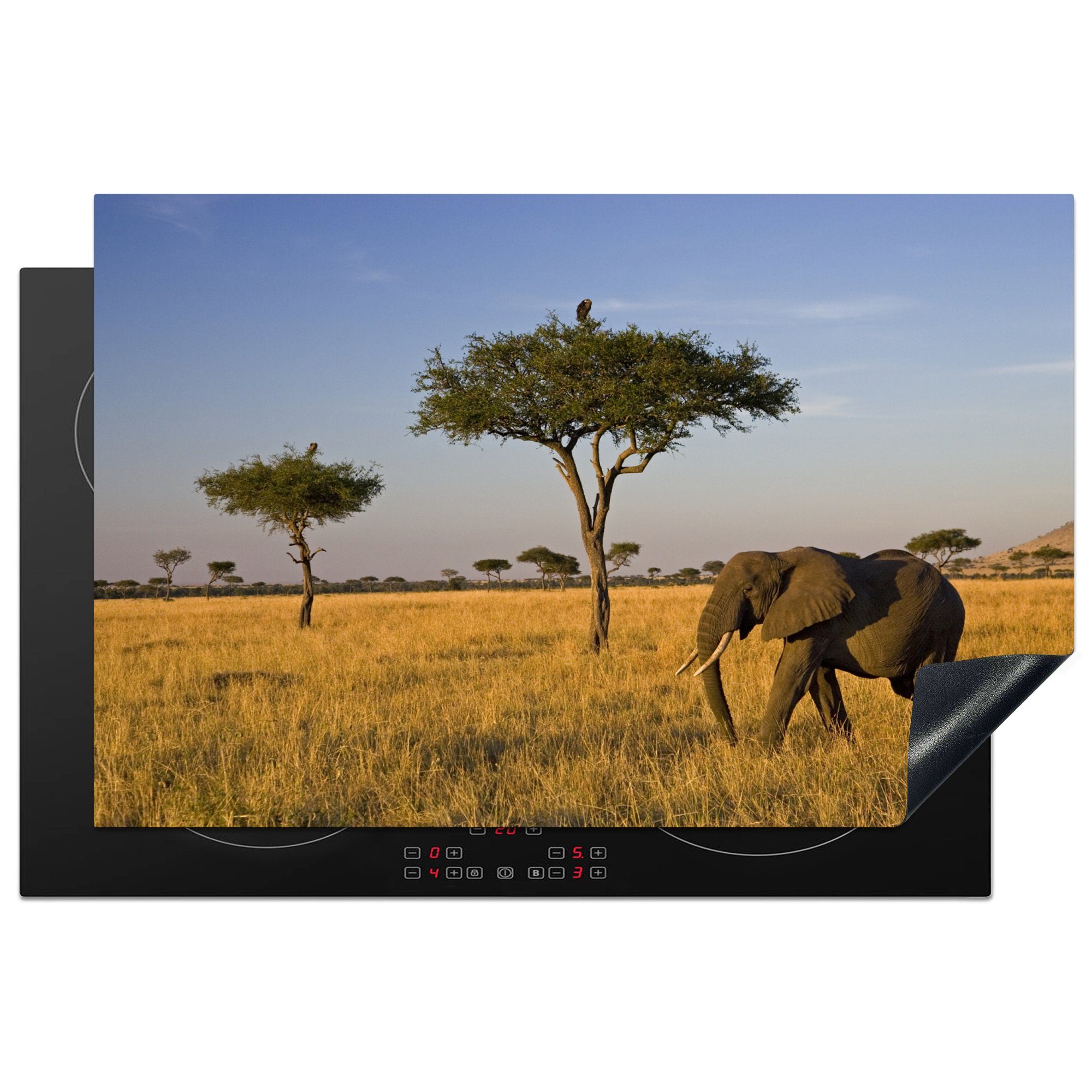 Herdblende-/Abdeckplatte MuchoWow cm, auf Weg (1 dem tlg), Savanne, Vinyl, die Schutz Induktionskochfeld für Ceranfeldabdeckung die küche, durch 81x52 Elefant