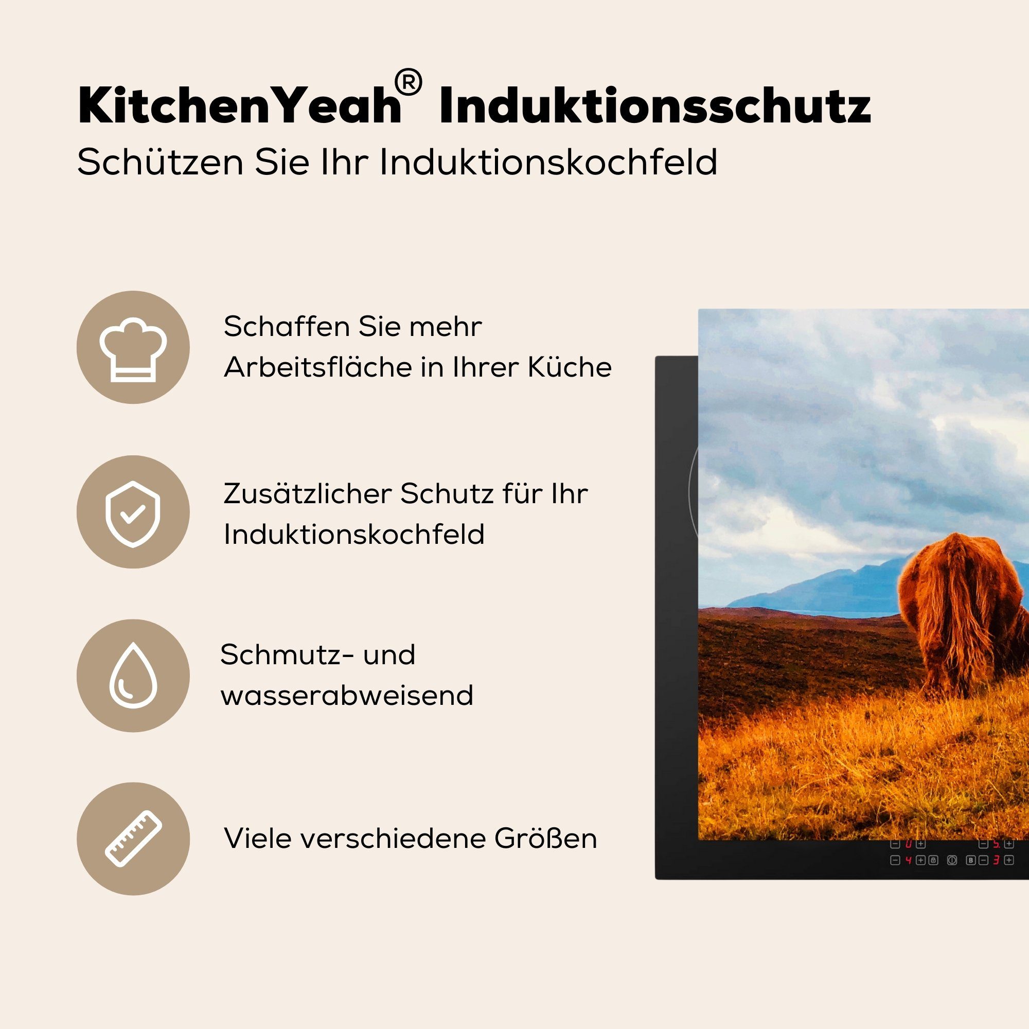MuchoWow Herdblende-/Abdeckplatte Schottischer Highlander Schutz Berg, Ceranfeldabdeckung 71x52 - (1 tlg), Induktionskochfeld - für Gras cm, die Vinyl, küche