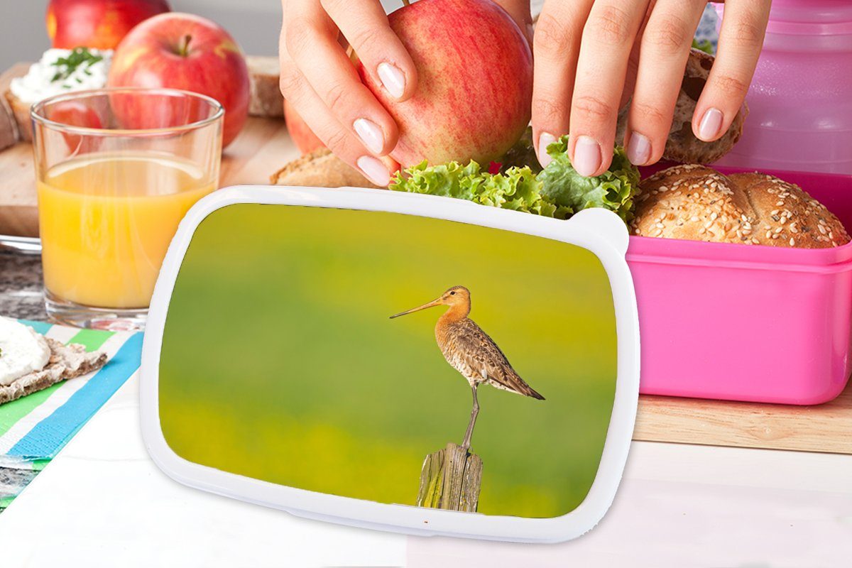 MuchoWow Lunchbox Brotbox - (2-tlg), Pfahl - Grün, Kinder, - Kunststoff Snackbox, Kunststoff, - Mädchen, Erwachsene, Uferschnepfe Brotdose für Tiere rosa Vogel