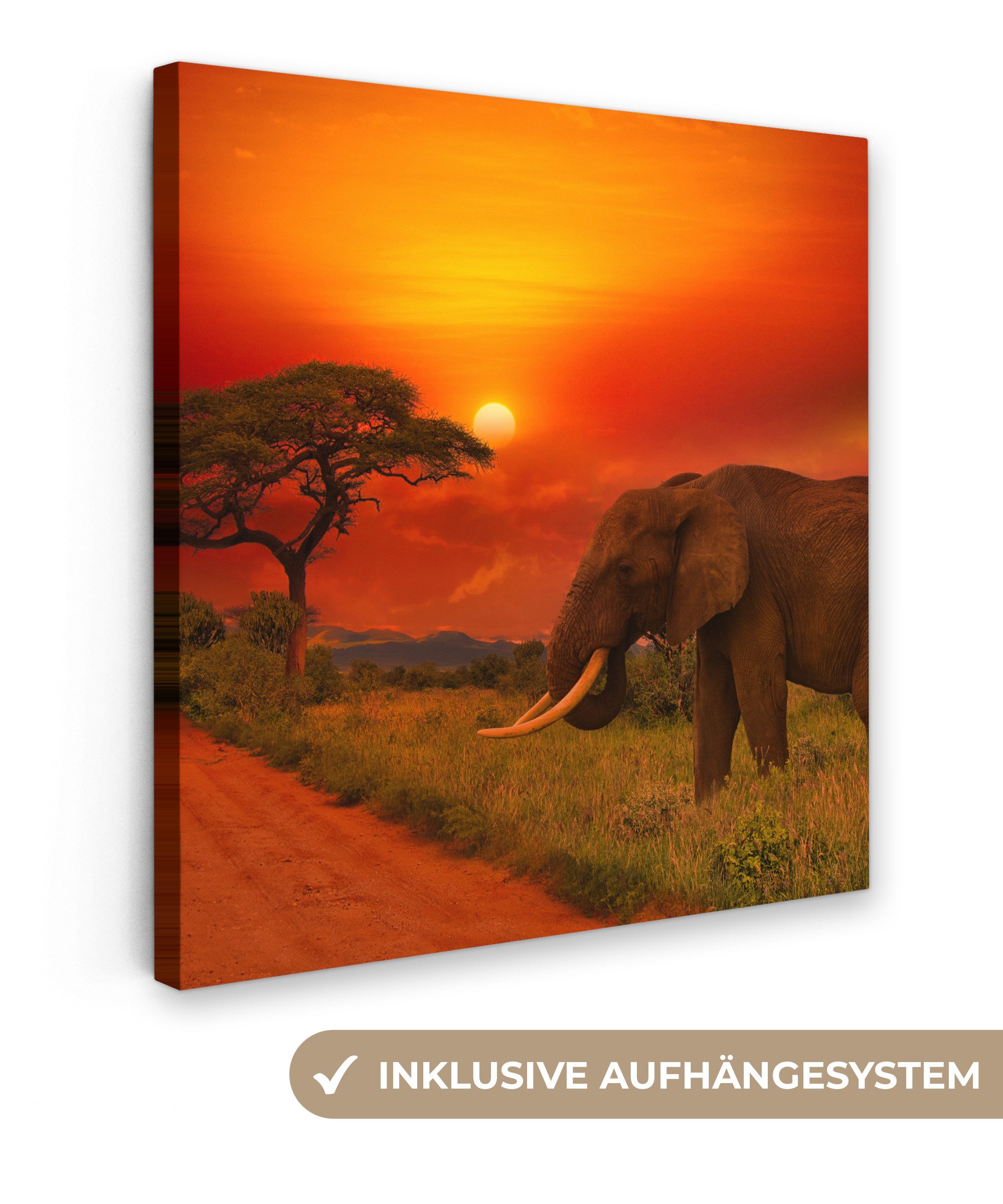 Leinwandbild Elefant - Sonnenuntergang - Orange - Savanne - Tiere