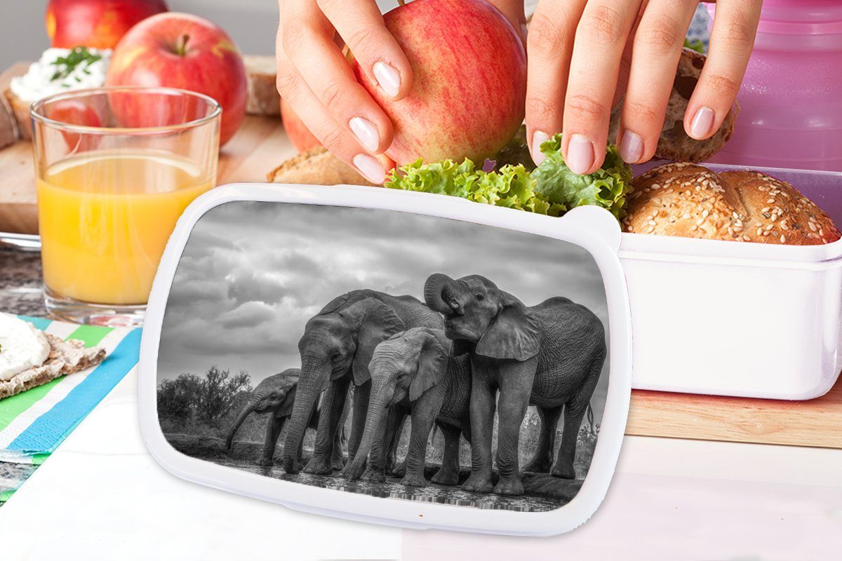 MuchoWow Lunchbox Elefant - Schwarz Kinder für Mädchen Kunststoff, Brotdose, und Jungs - Brotbox weiß, und Erwachsene, und - (2-tlg), für Wasser Tiere