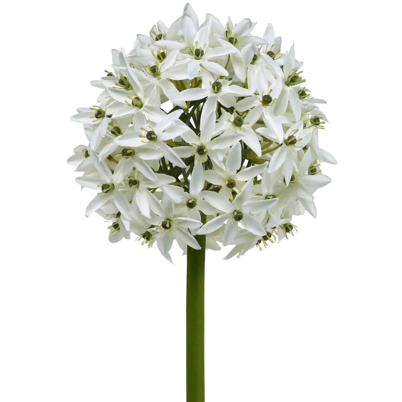 Kunstblume Deko-Blume Allium Weiß Ø20cm Zierlauch günstig online kaufen