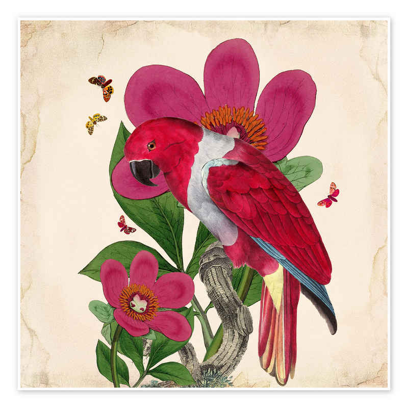 Posterlounge Poster Mandy Reinmuth, Exotische Papageien VI, Wohnzimmer Orientalisches Flair Illustration