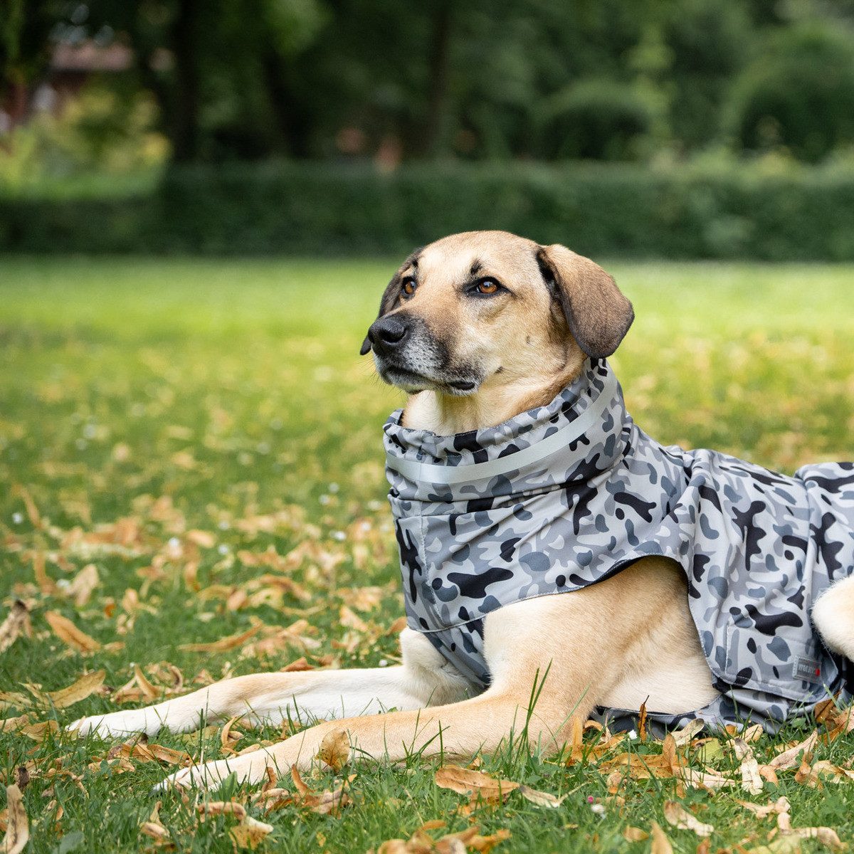 Wolters Hunderegenmantel Regenjacke Camouflage dunkelgrau